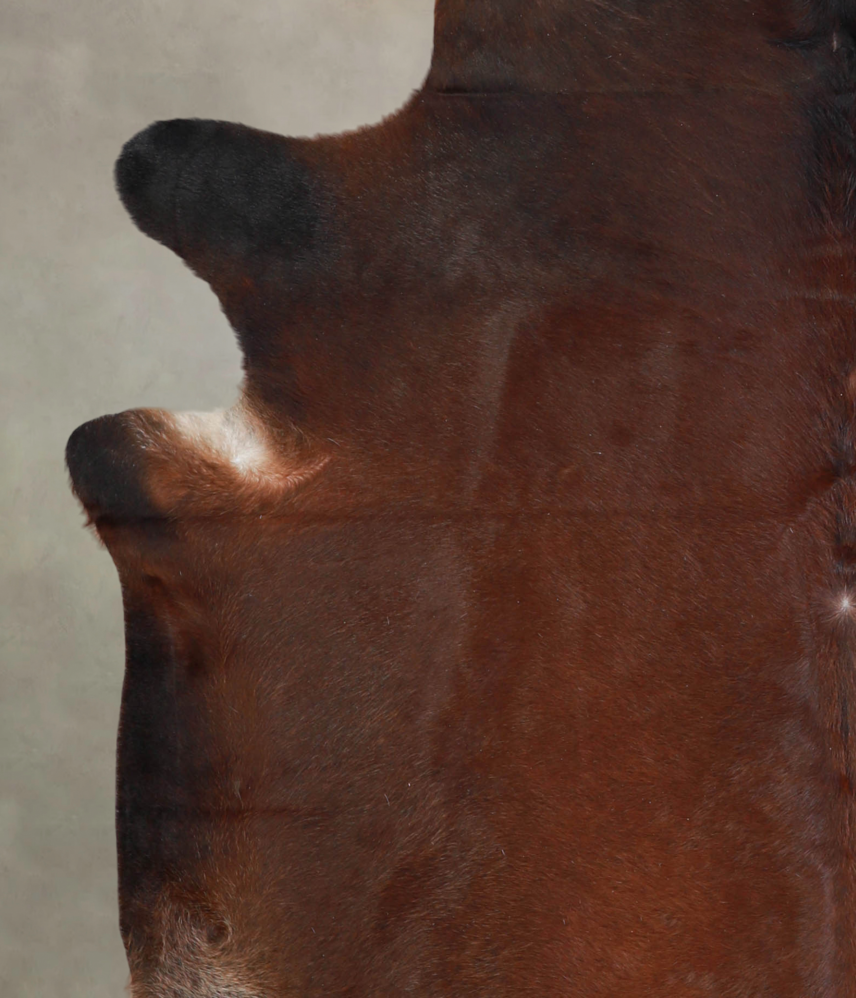 Brown with Red Cowhide Rug #A23377