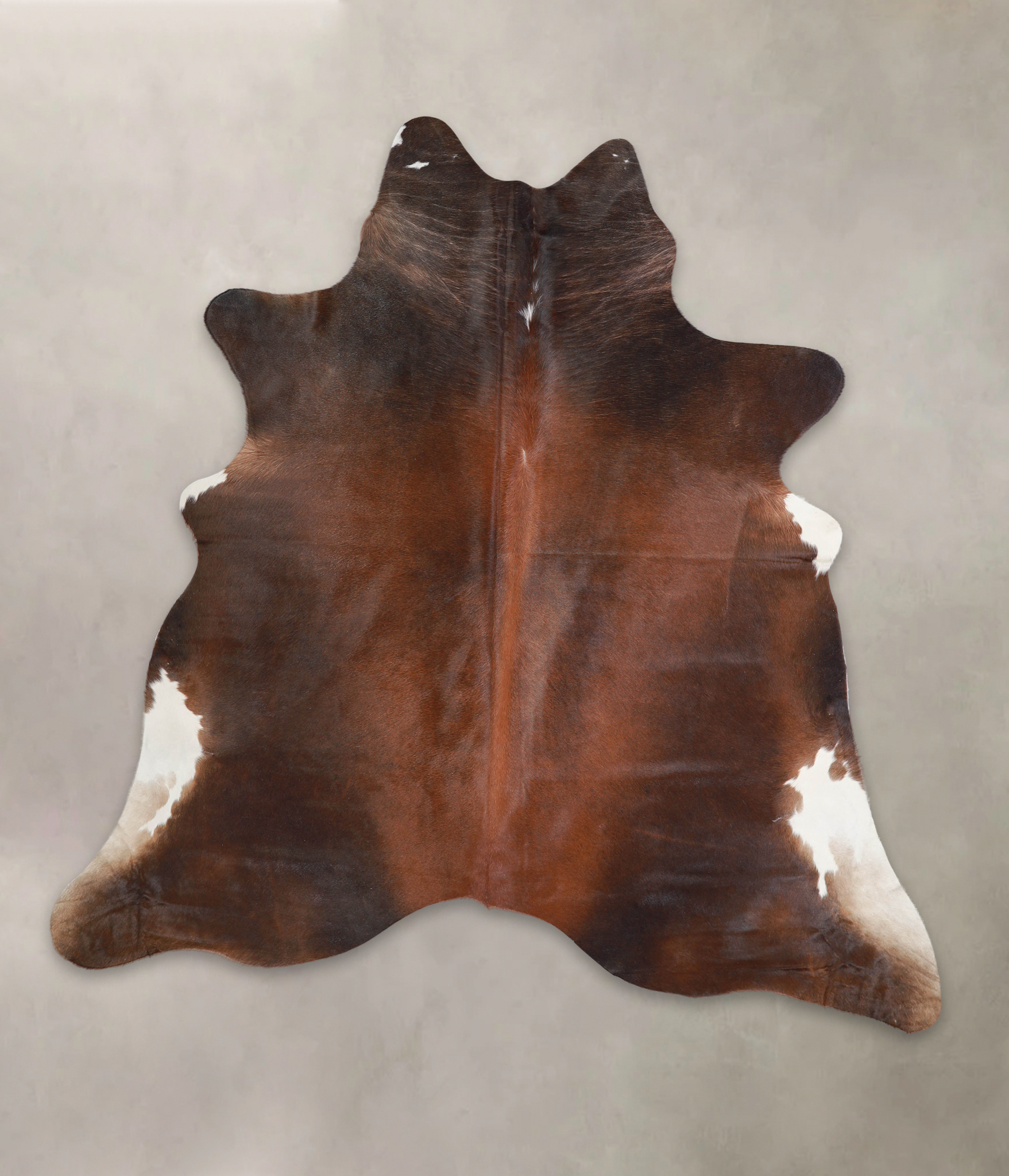 Brown with Red Cowhide Rug #A23423