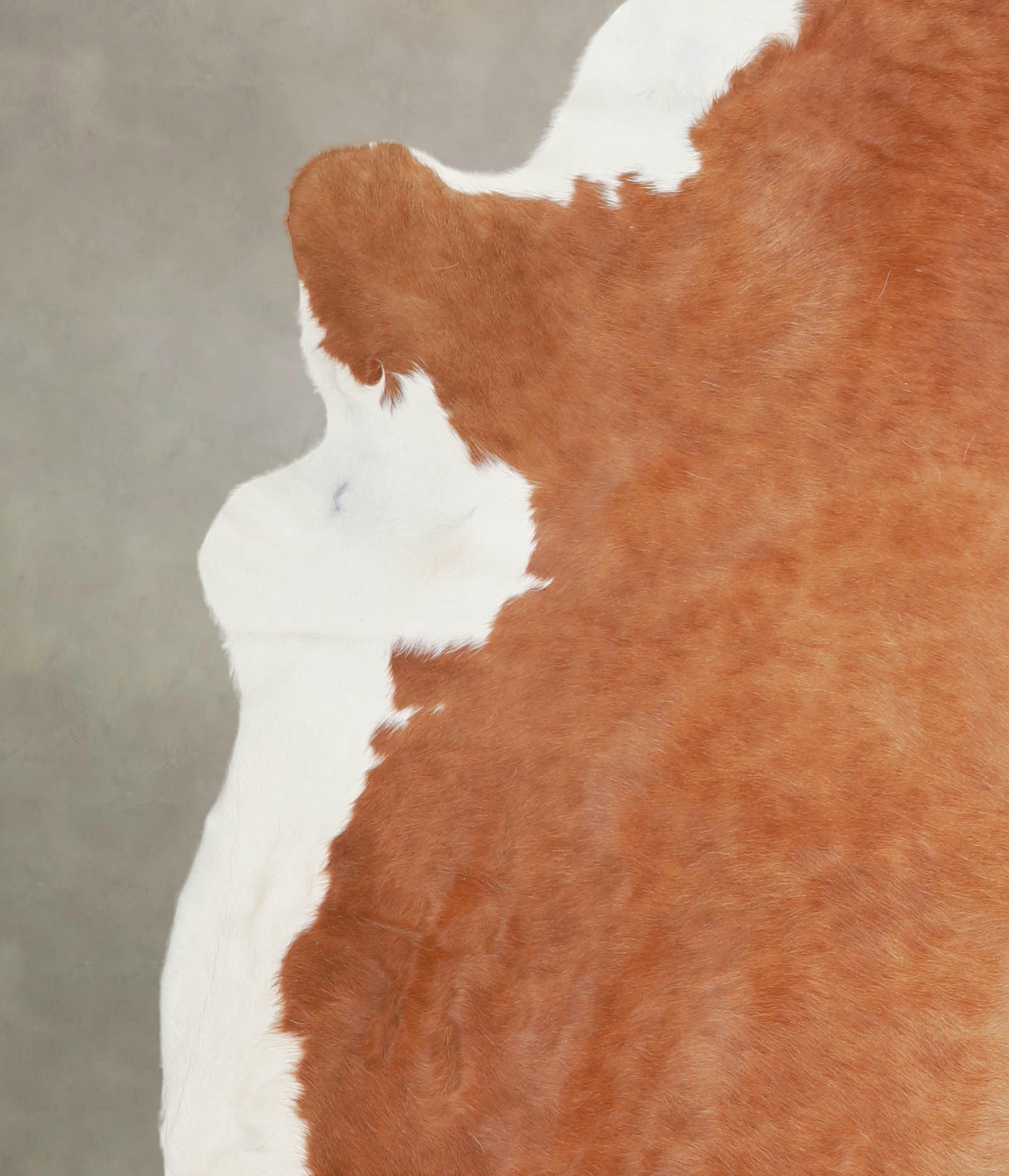 Hereford Cowhide Rug #A23459