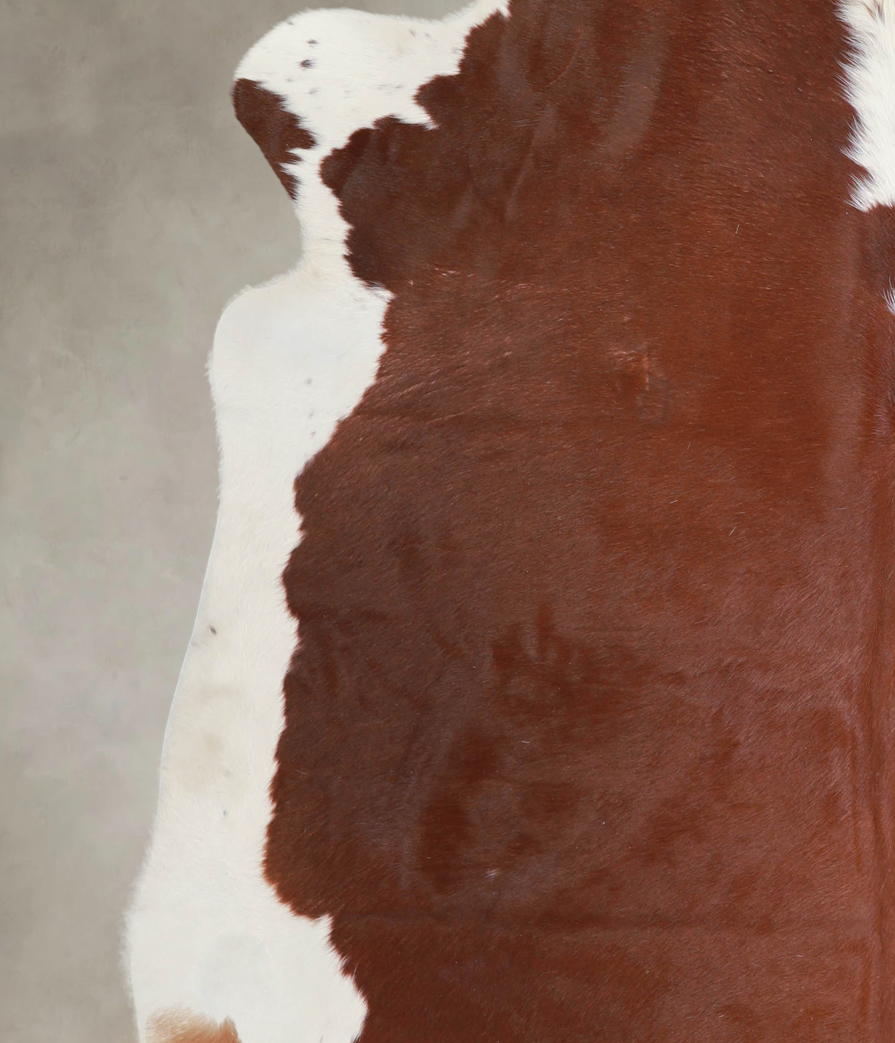 Hereford Cowhide Rug #A23552