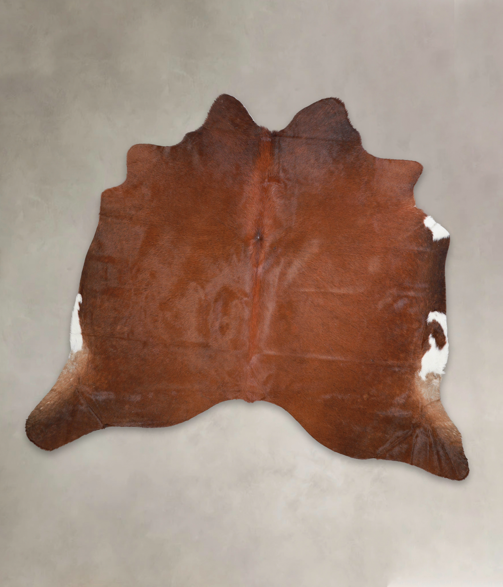 Solid Brown Cowhide Rug #A23635