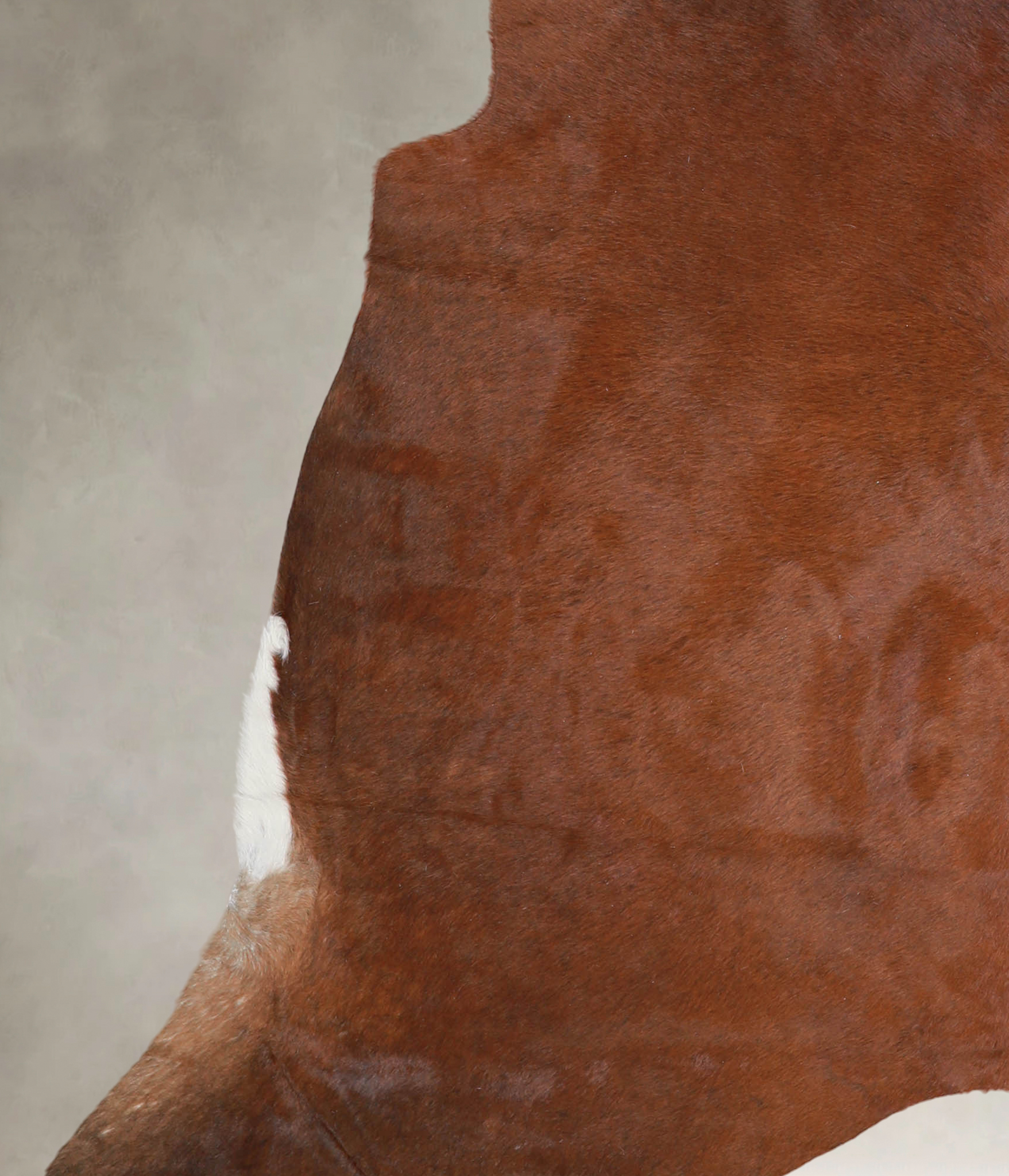 Solid Brown Cowhide Rug #A23635