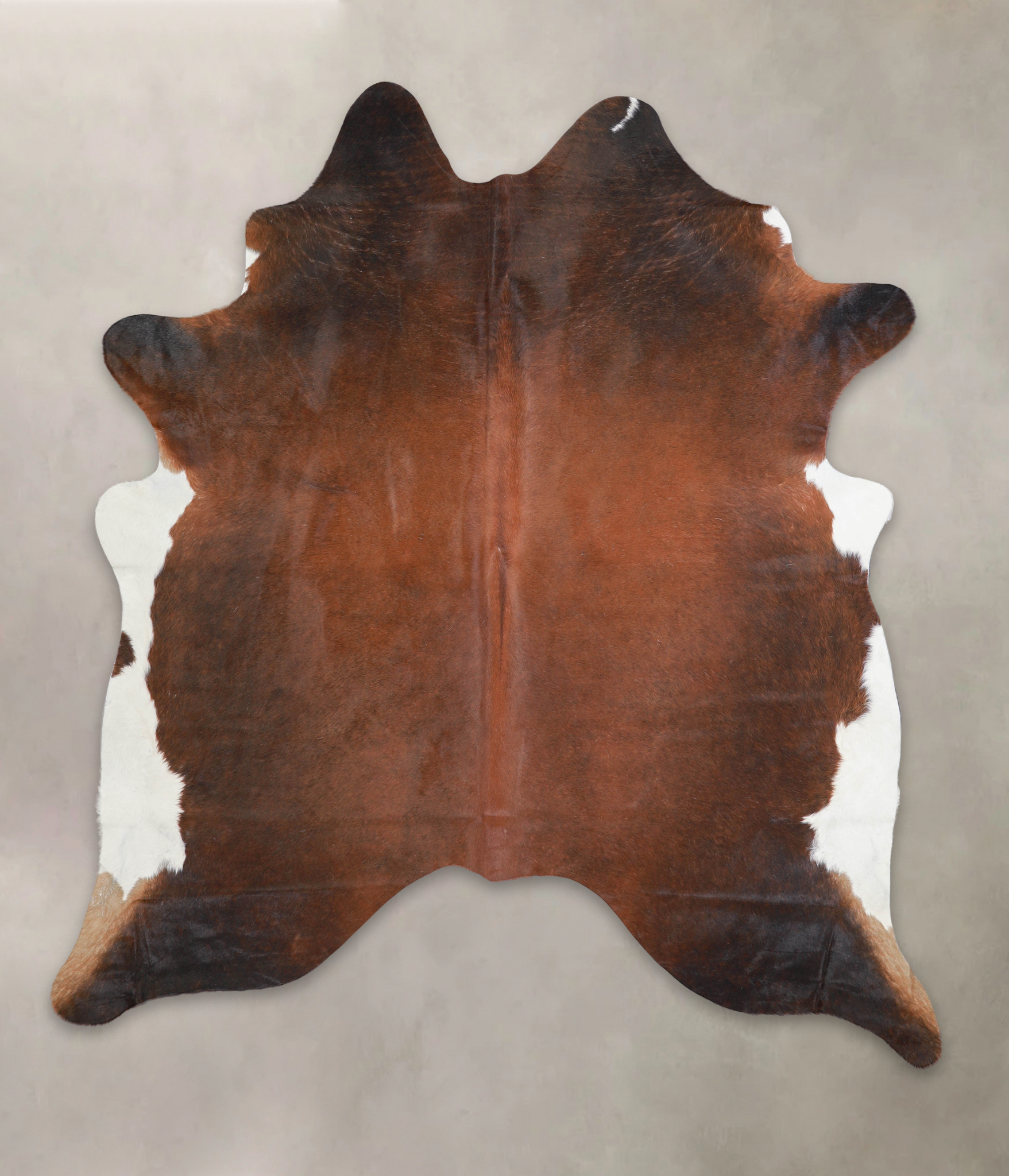 Brown with Red Cowhide Rug #A23675