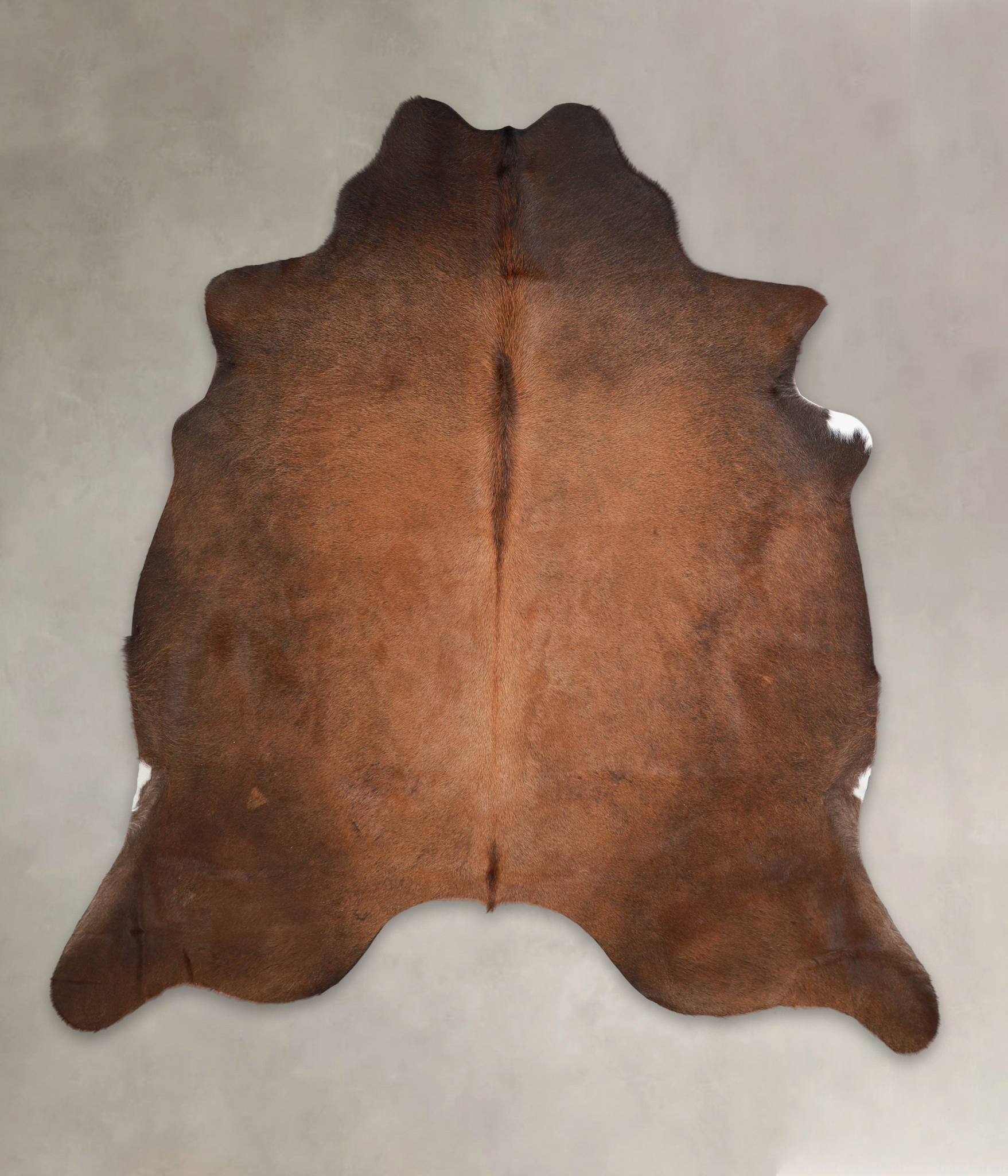 Brown with Red Cowhide Rug #A23749