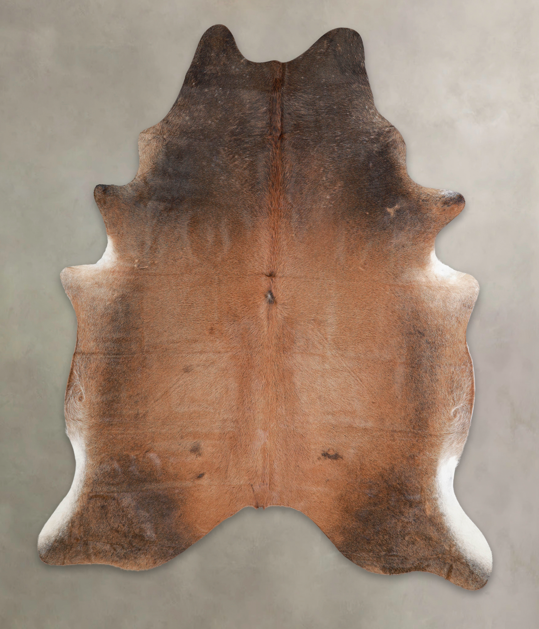 Brown with Red Cowhide Rug #A23757