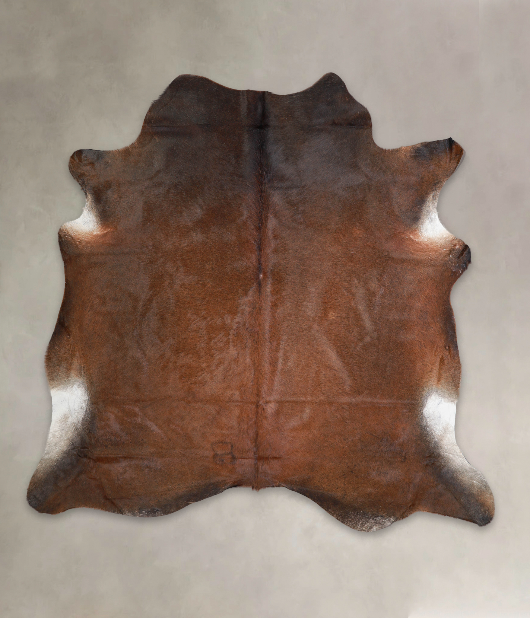 Brown with Red Cowhide Rug #A23844