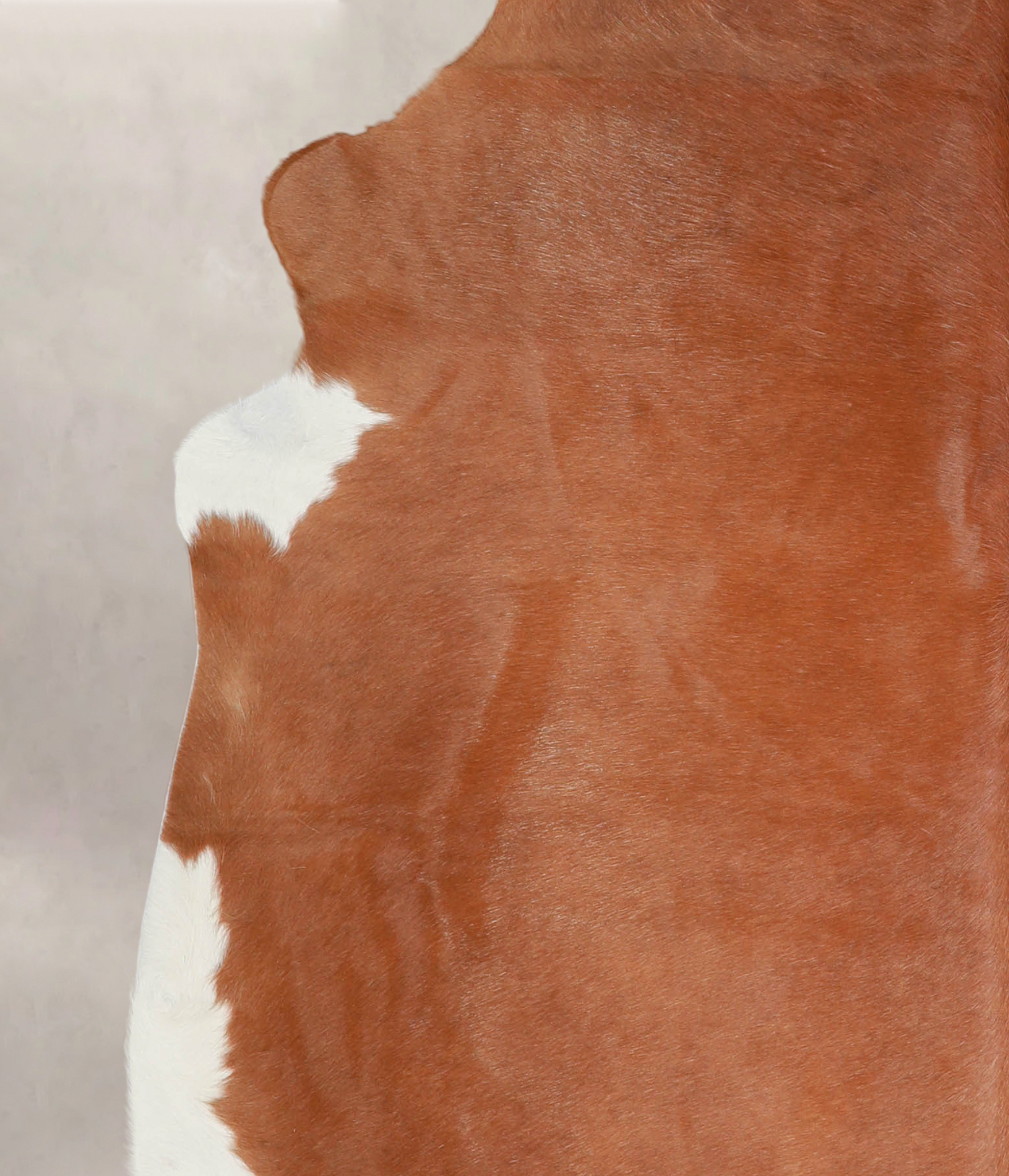 Solid Brown Cowhide Rug #A23958