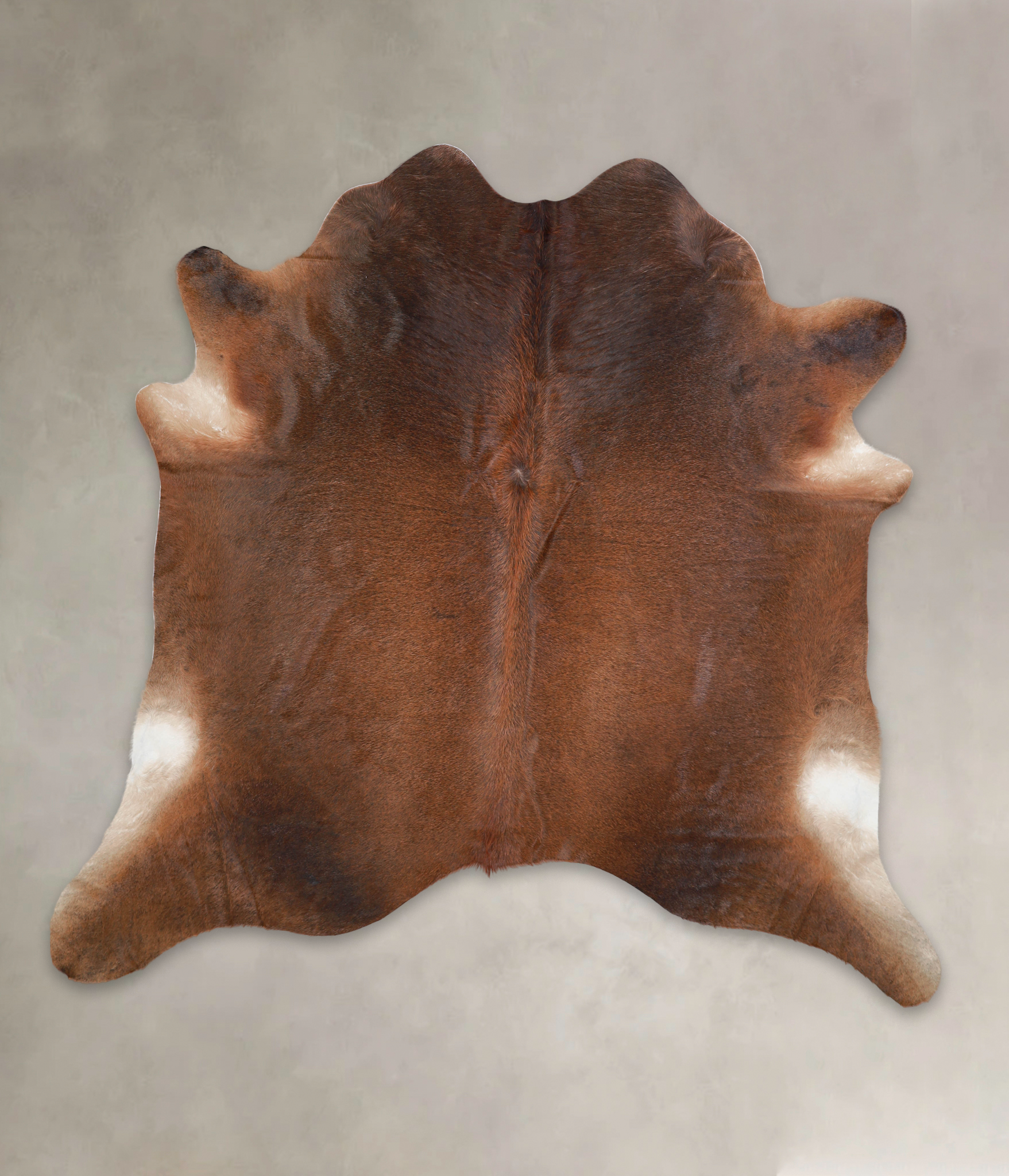 Brown with Red Cowhide Rug #A24056