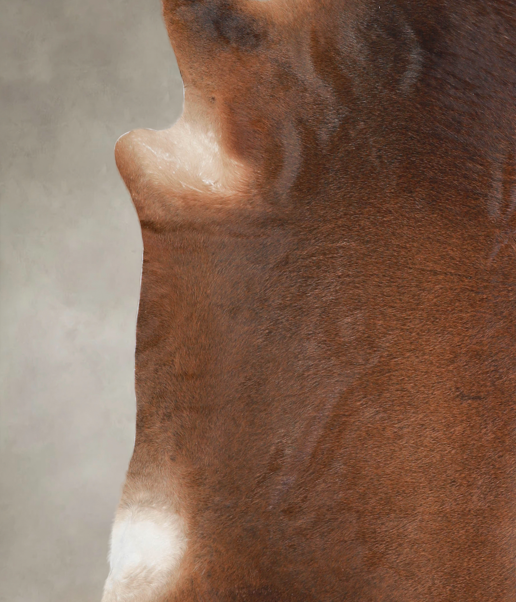 Brown with Red Cowhide Rug #A24056