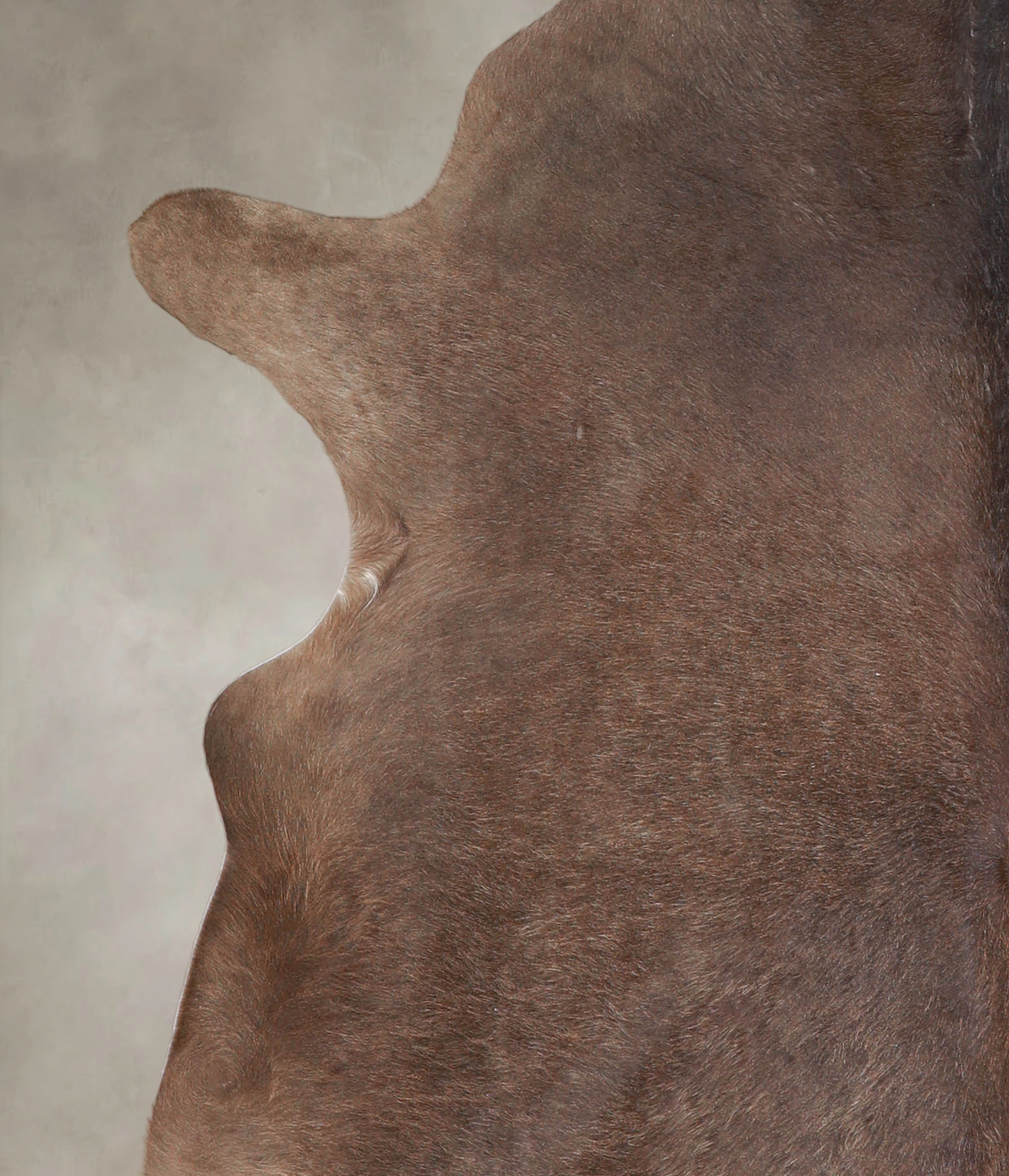 Taupe Cowhide Rug #A24088