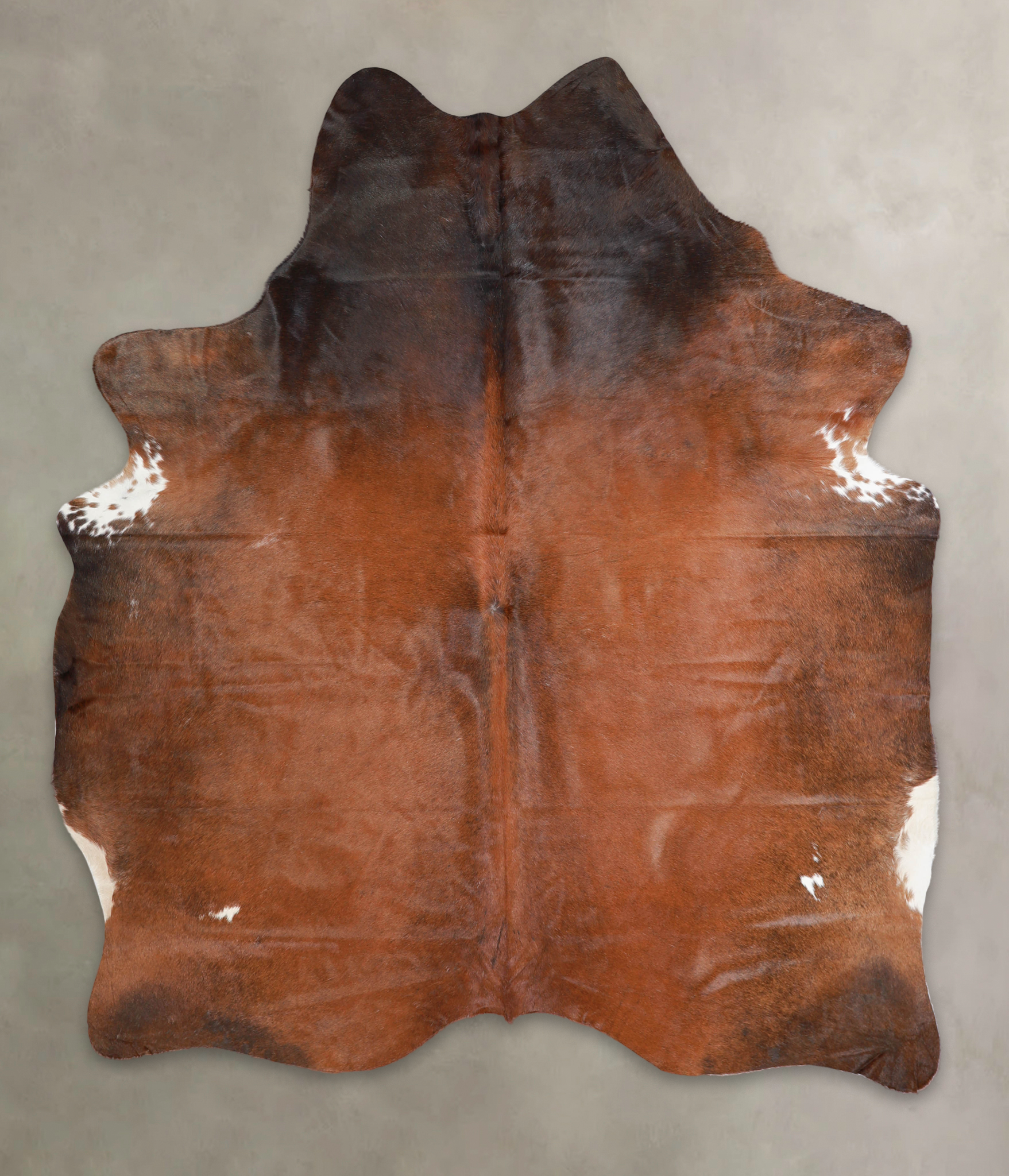 Brown with Red Cowhide Rug #A24117