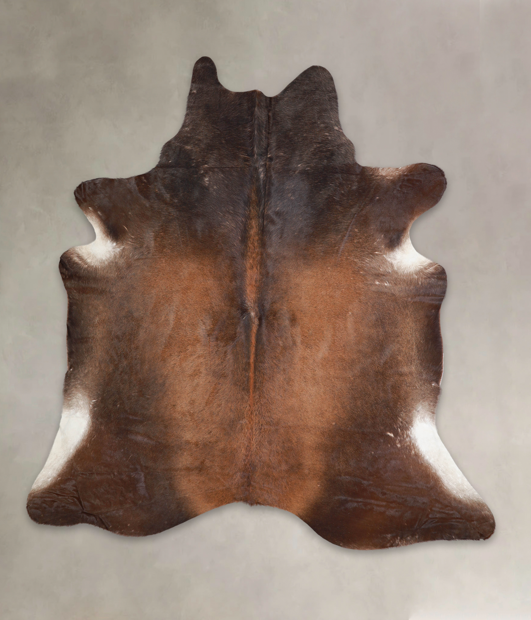 Brown with Red Cowhide Rug #A24118