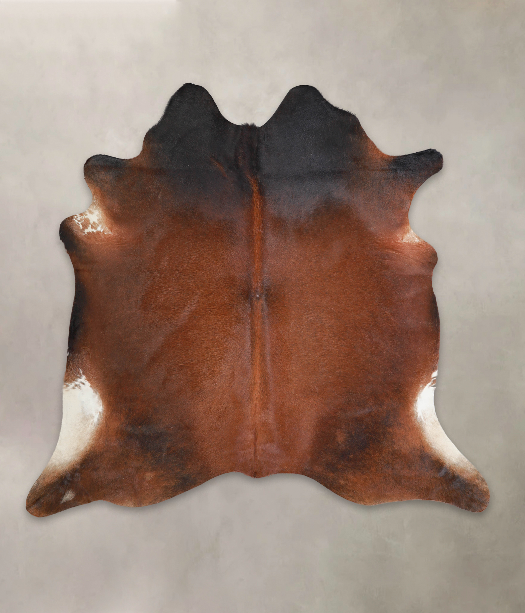 Brown with Red Cowhide Rug #A24167