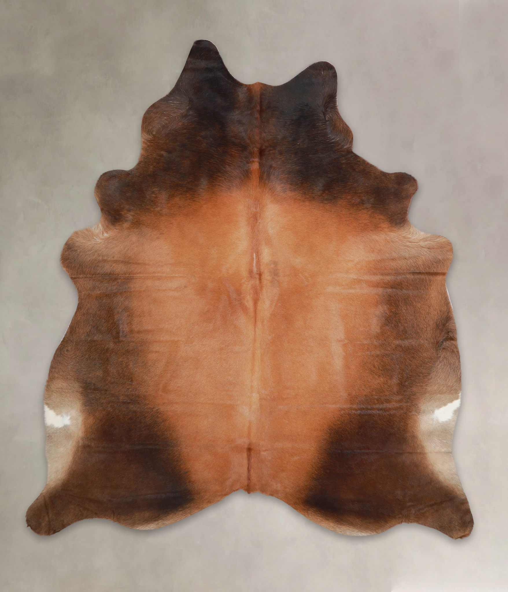 Brown with Red Cowhide Rug #A24520