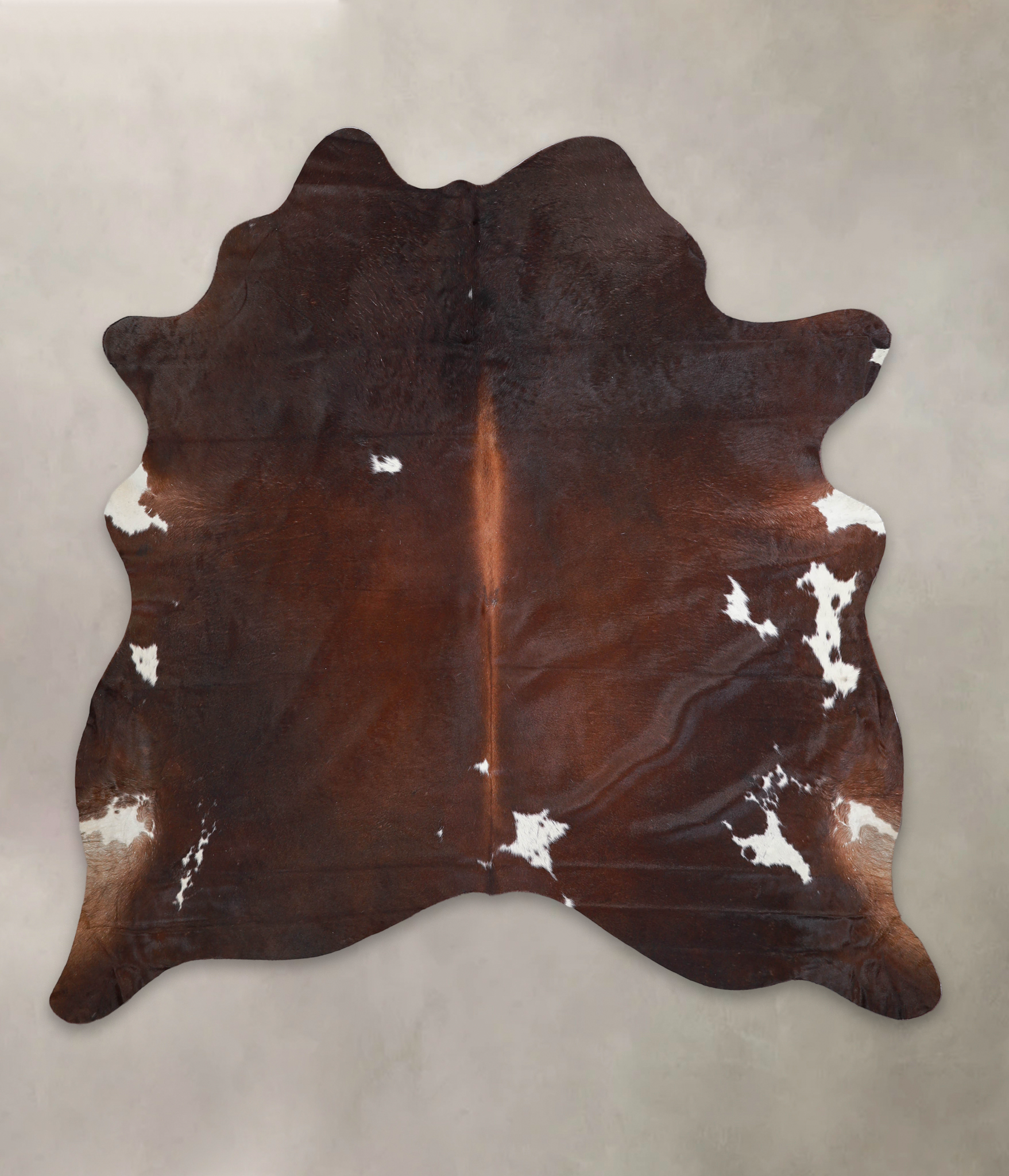 Chocolate and White Cowhide Rug #A24534