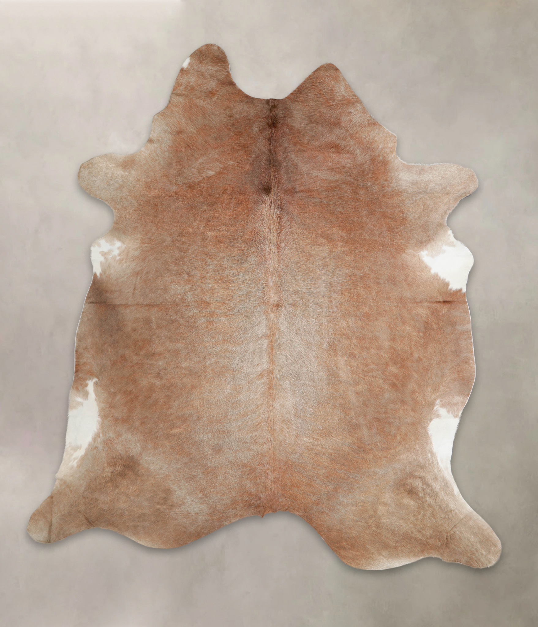 Caramel Cowhide Rug #A24537