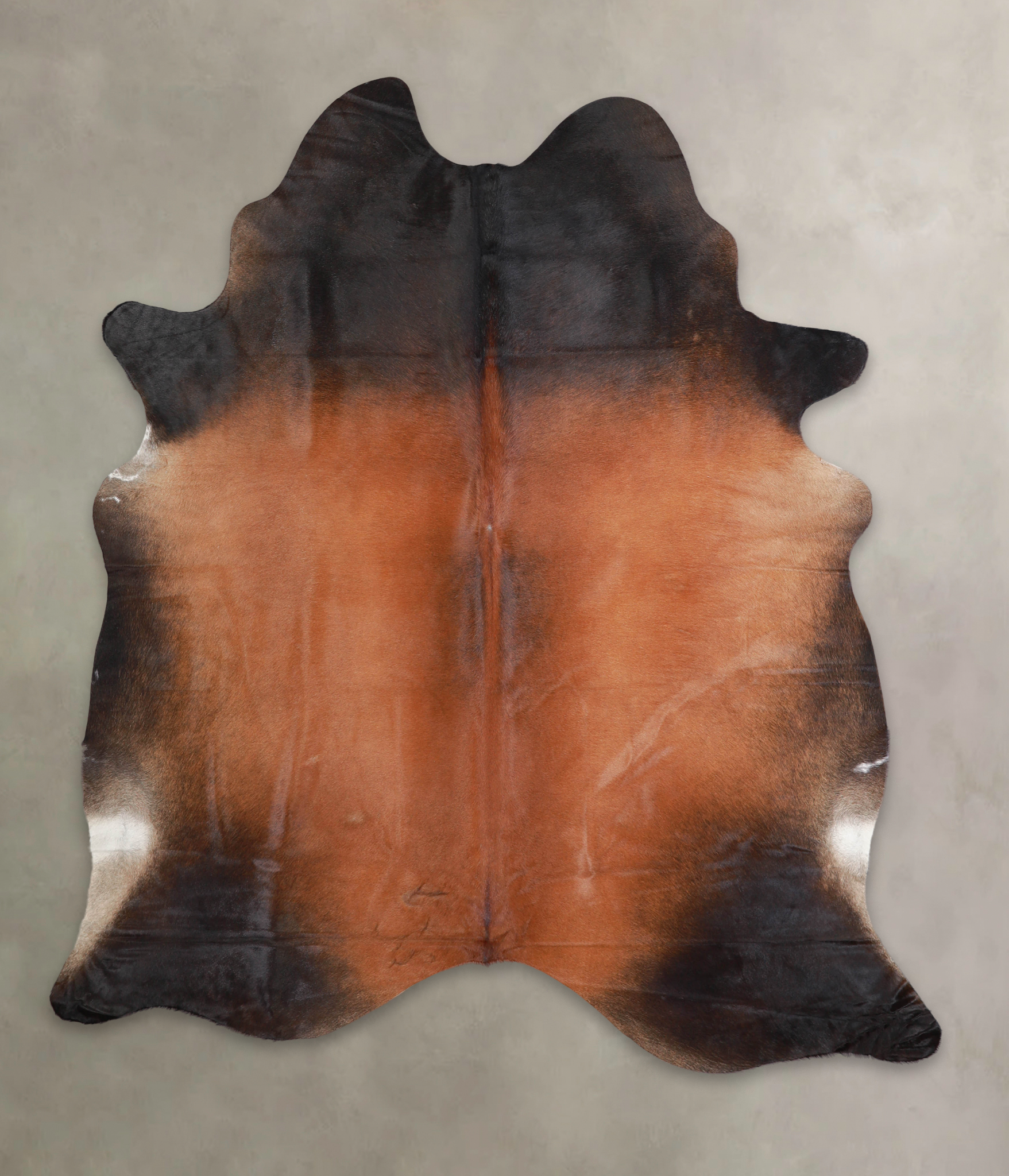 Brown with Red Cowhide Rug #A24556