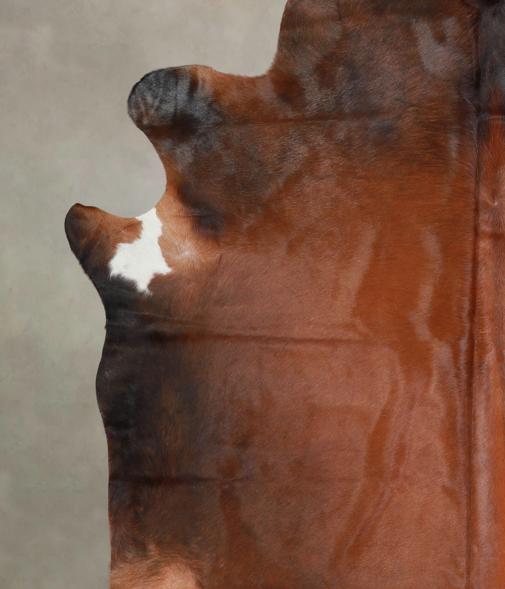 Brown with Red Cowhide Rug #A24611