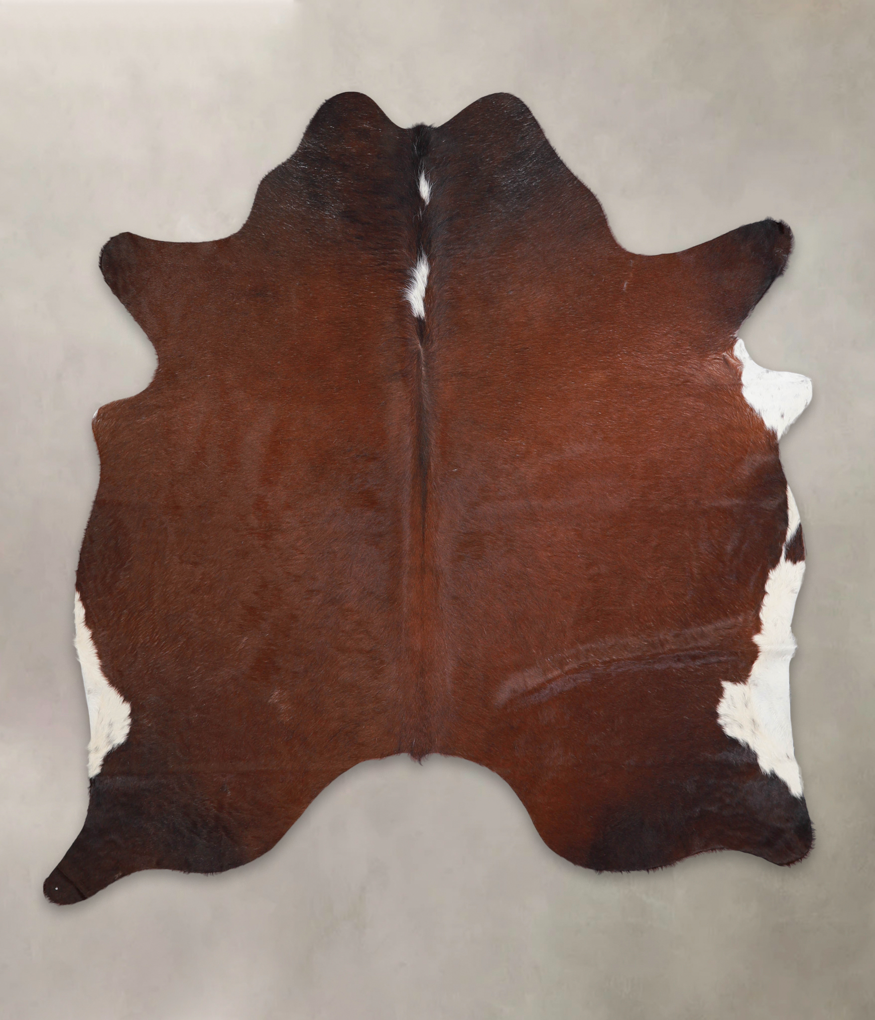 Brown with Red Cowhide Rug #A24664