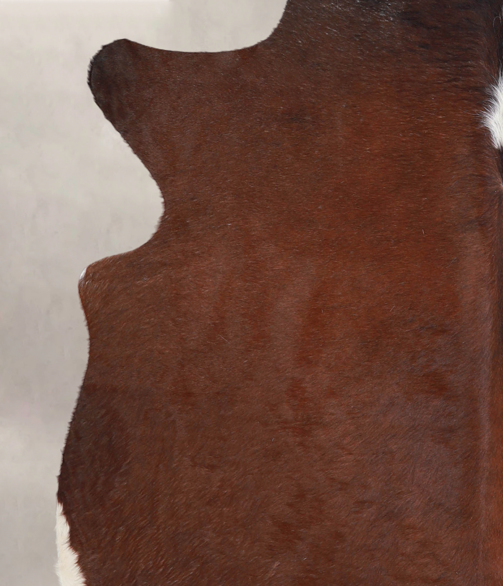 Brown with Red Cowhide Rug #A24664