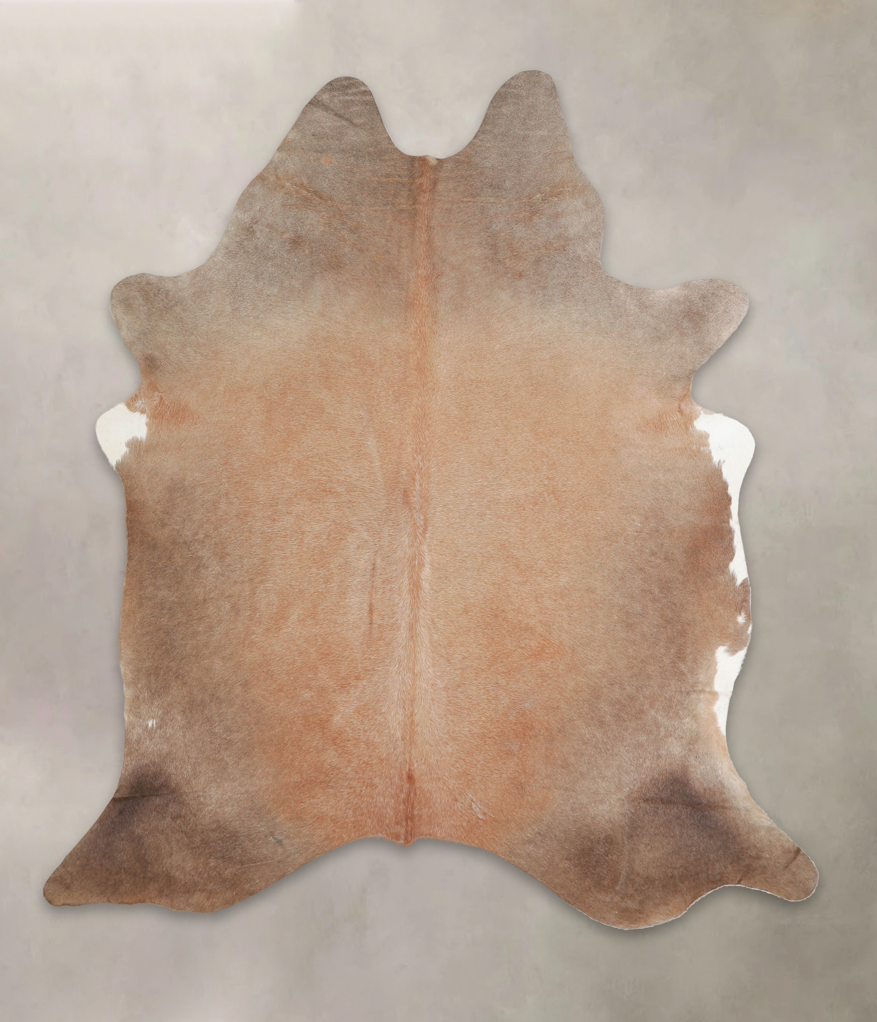 Caramel Cowhide Rug #A24683