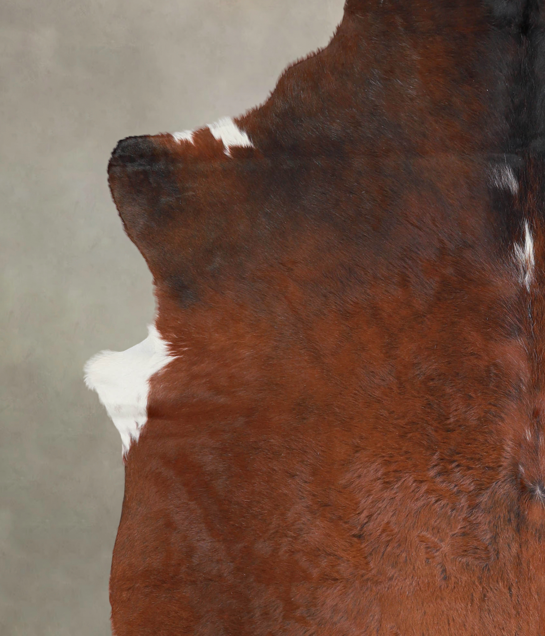 Brown with Red Cowhide Rug #A24789