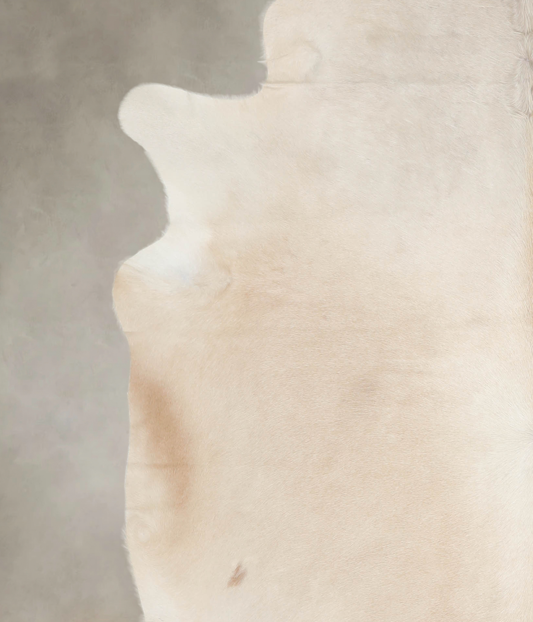 Palomino Cowhide Rug #A24805