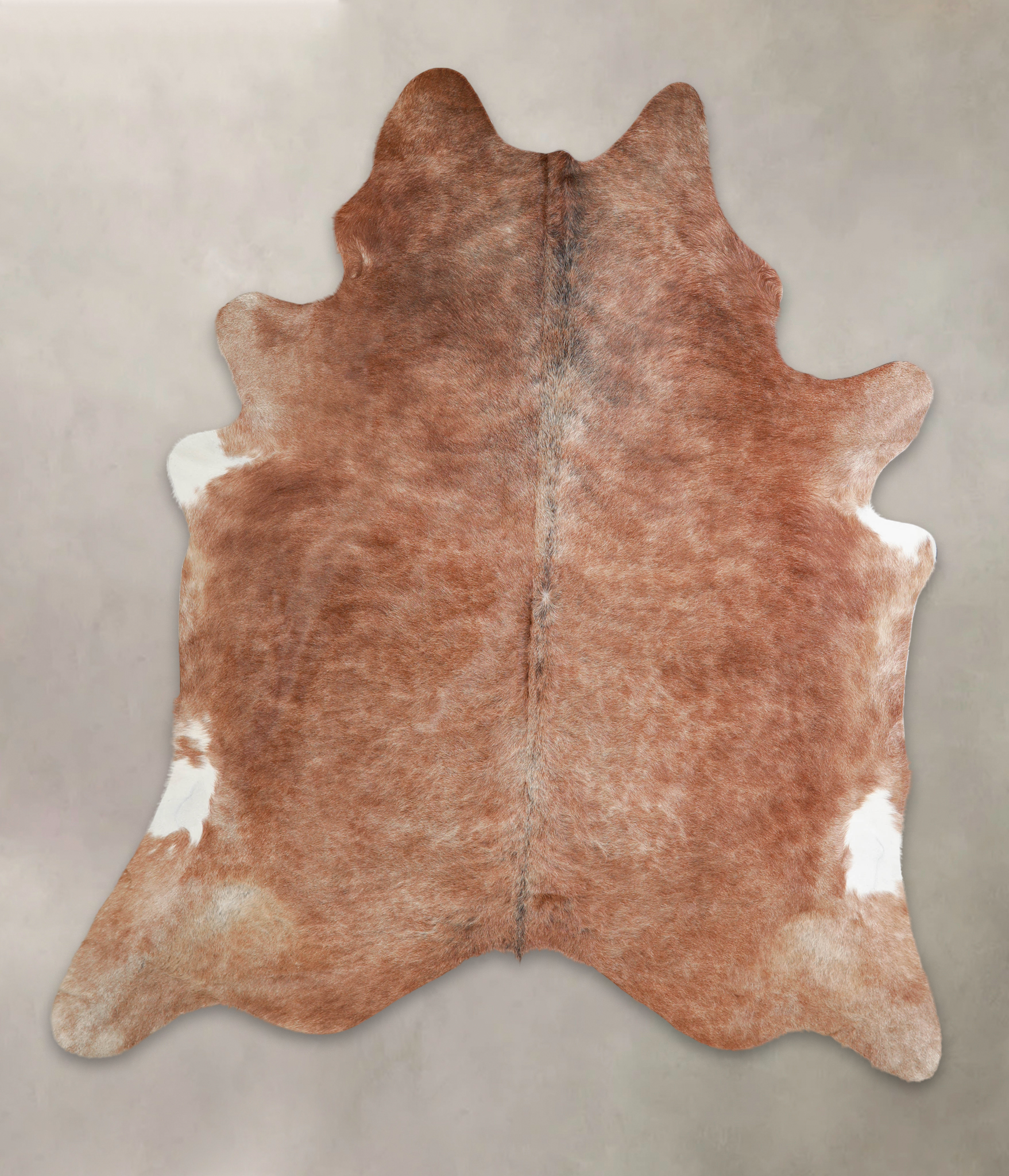 Caramel Cowhide Rug #A24939