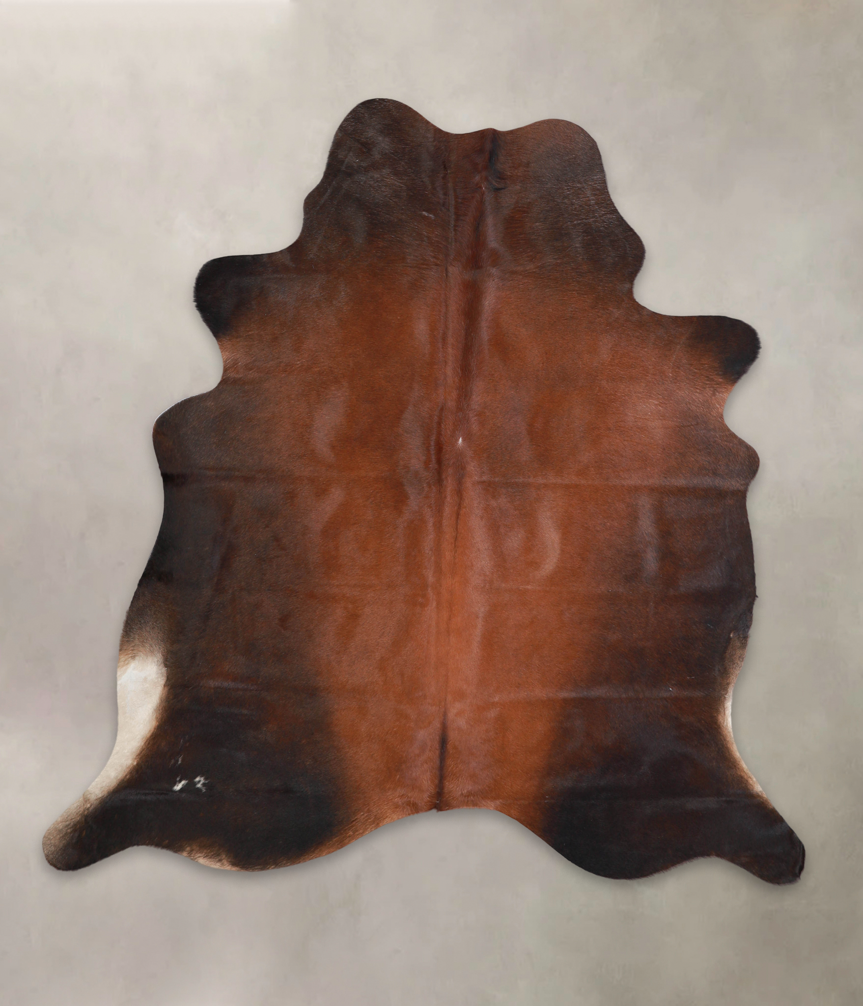 Brown with Red Cowhide Rug #A25019