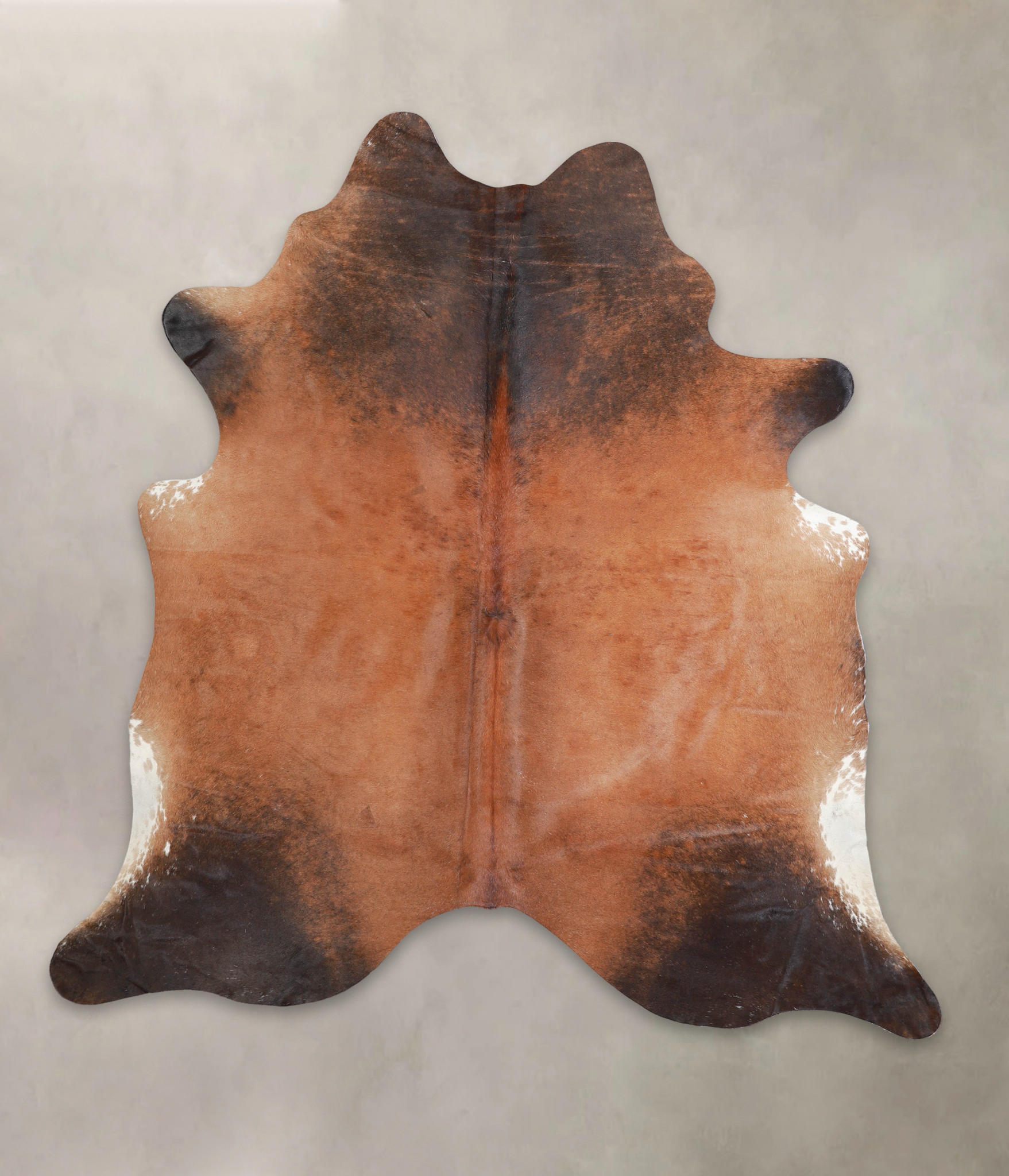 Brown with Red Cowhide Rug #A25206