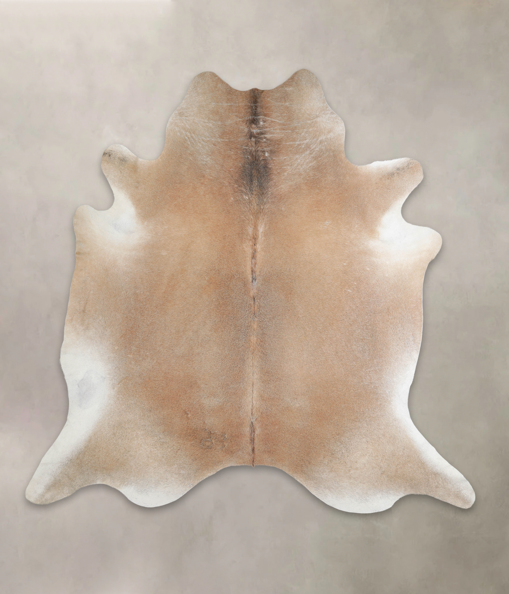 Grey with Beige Cowhide Rug #A25602