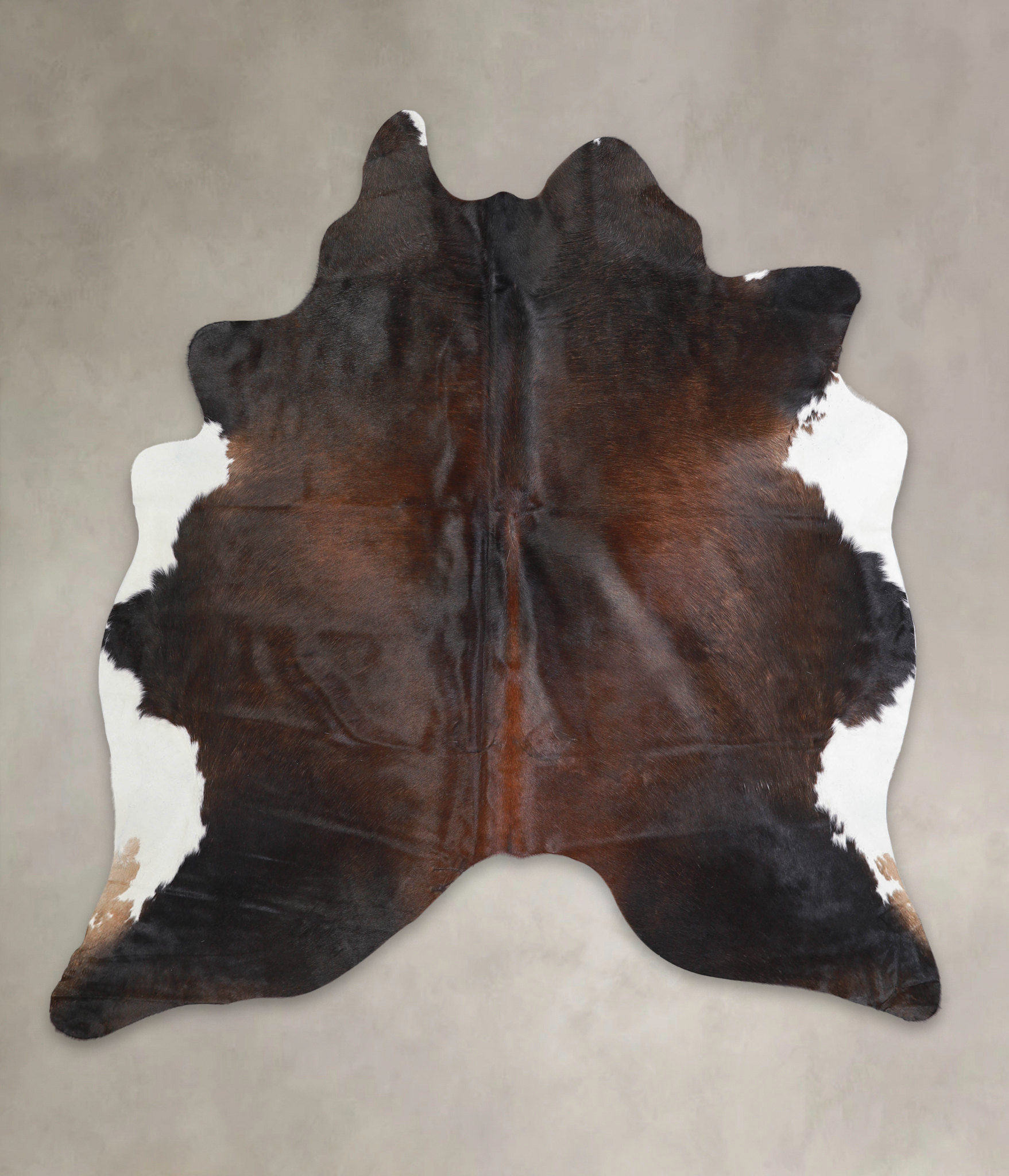 Chocolate and White Cowhide Rug #A25631