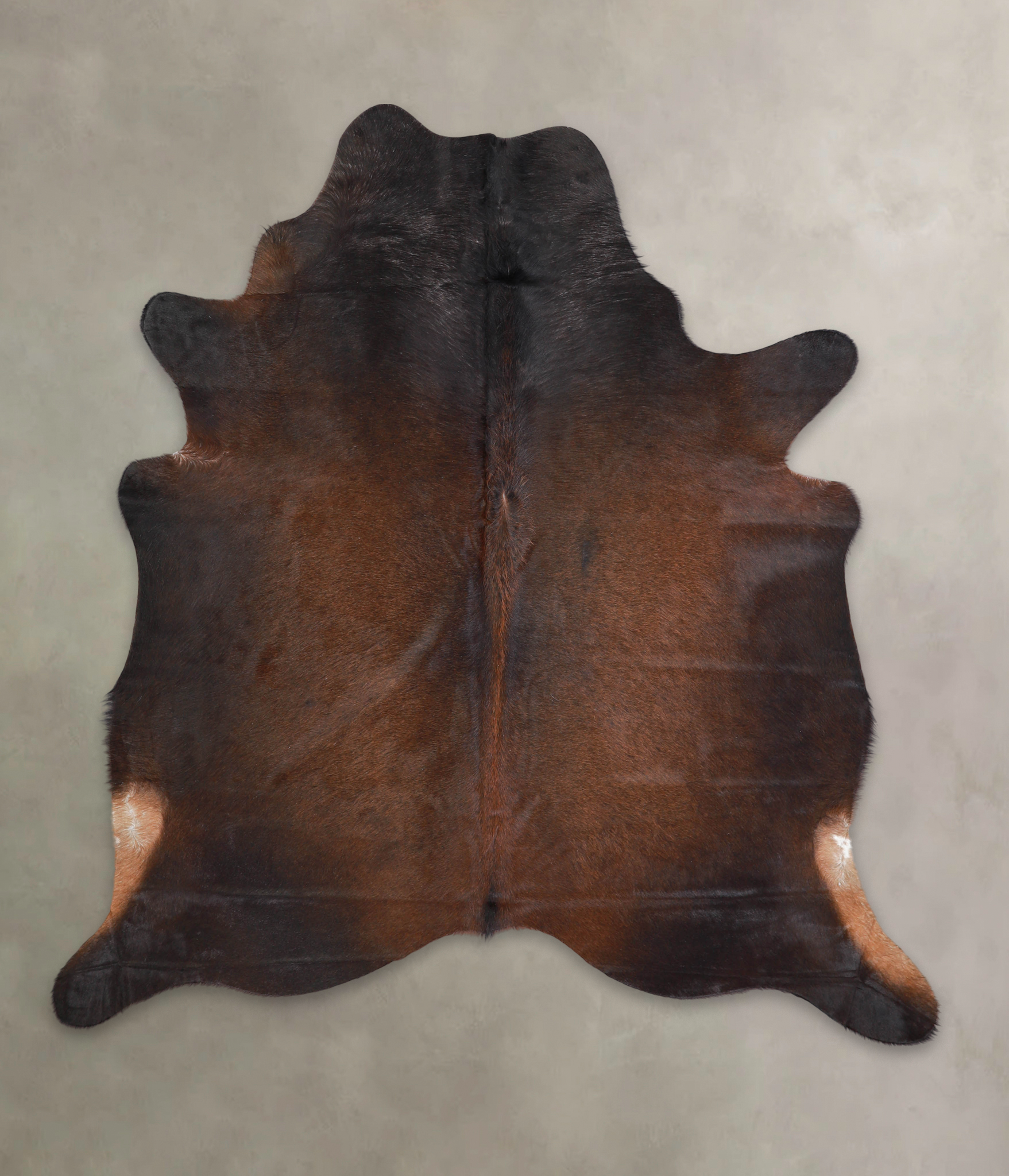 Brown with Red Cowhide Rug #A26040