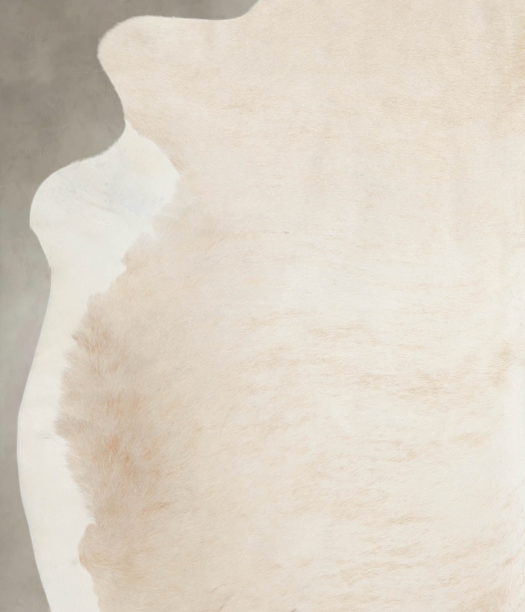 Beige and White Cowhide Rug #A26056