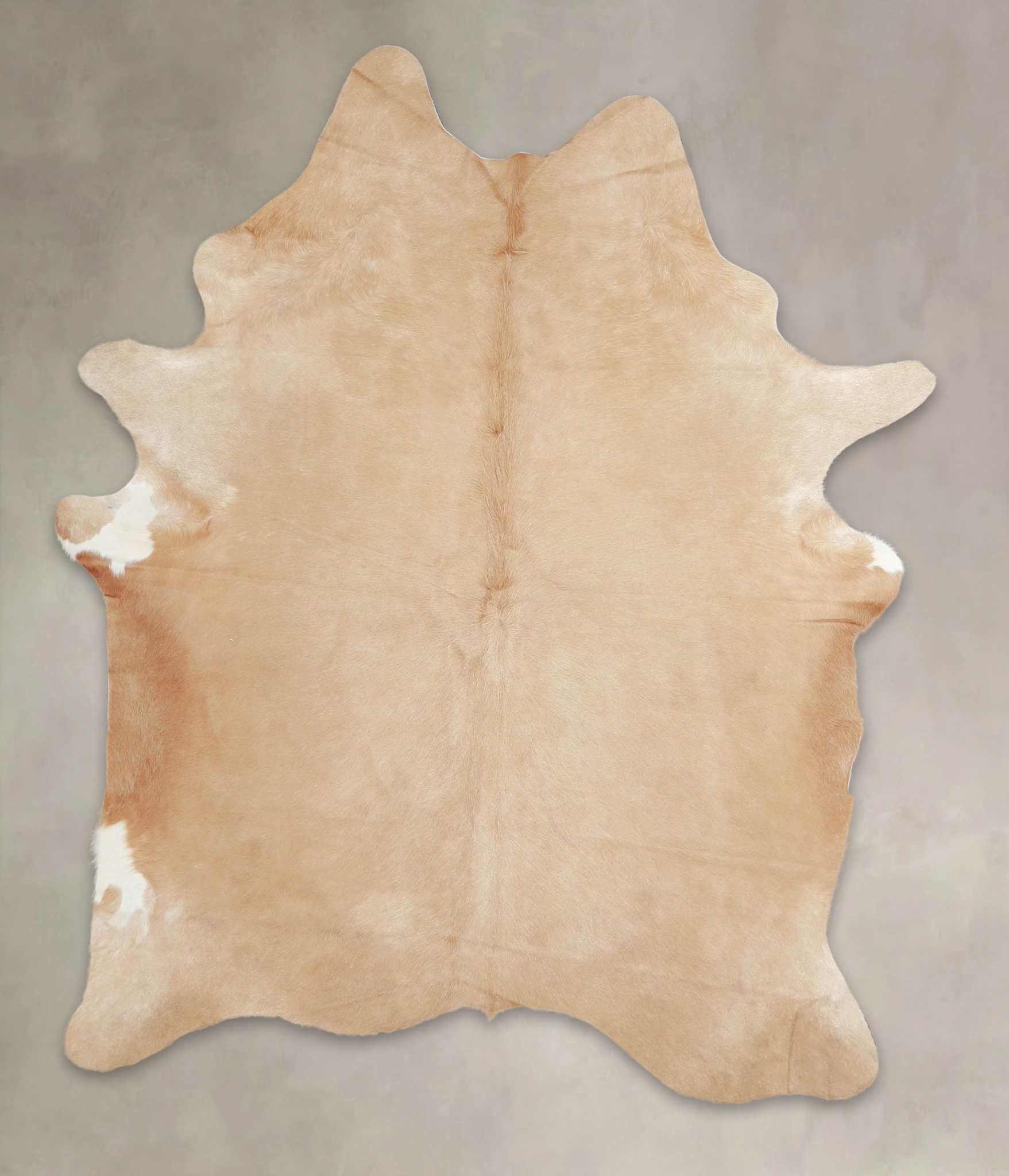 Palomino Cowhide Rug #A26138