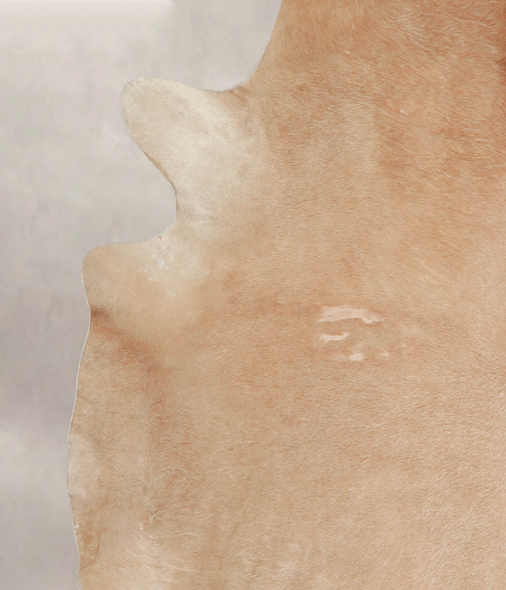 Beige Cowhide Rug #A26289