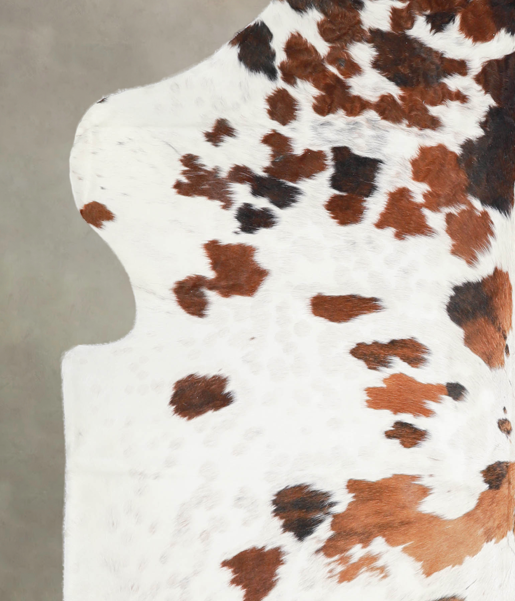 Tricolor Cowhide Rug #A26698