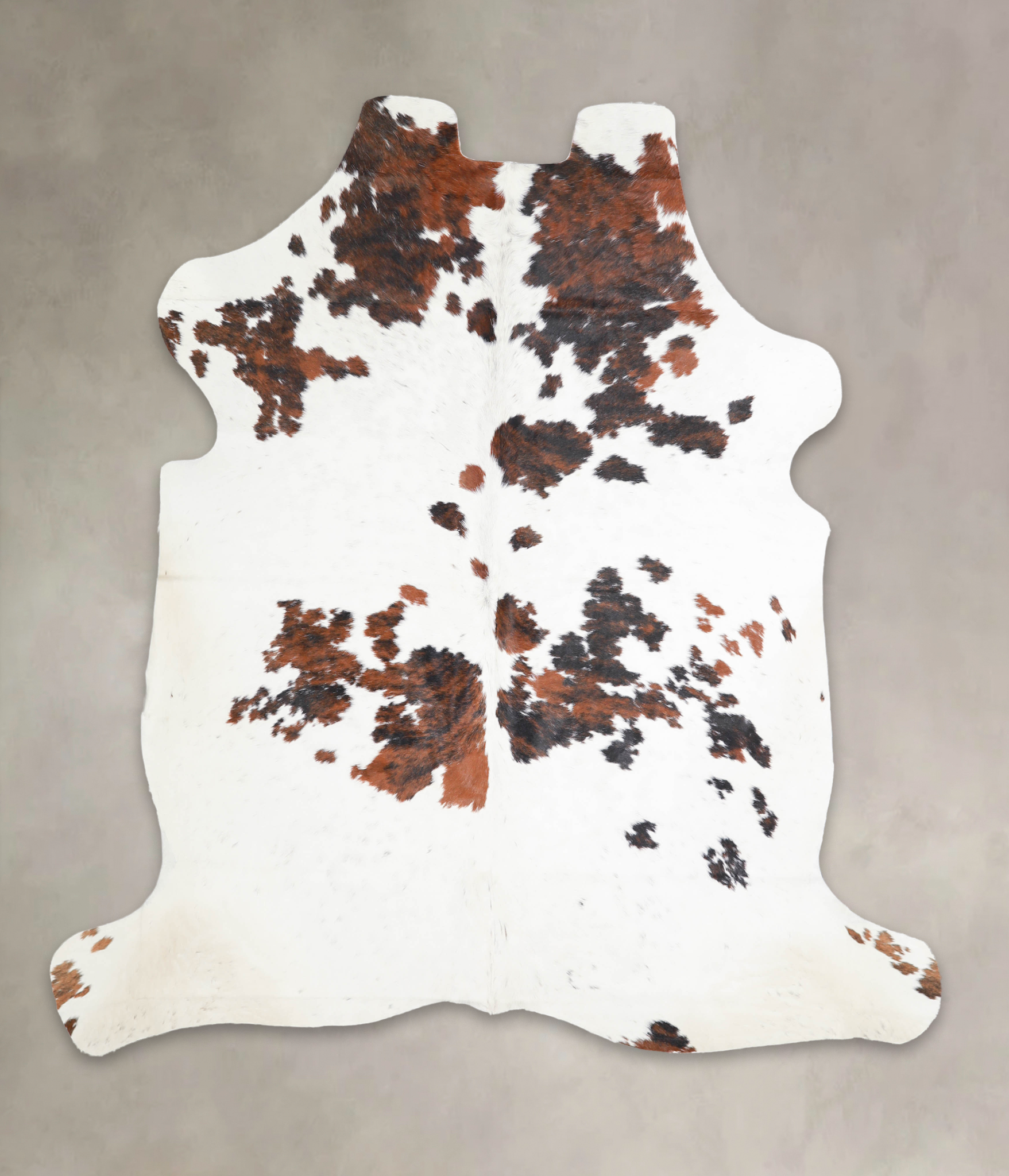 Tricolor Cowhide Rug #A26761