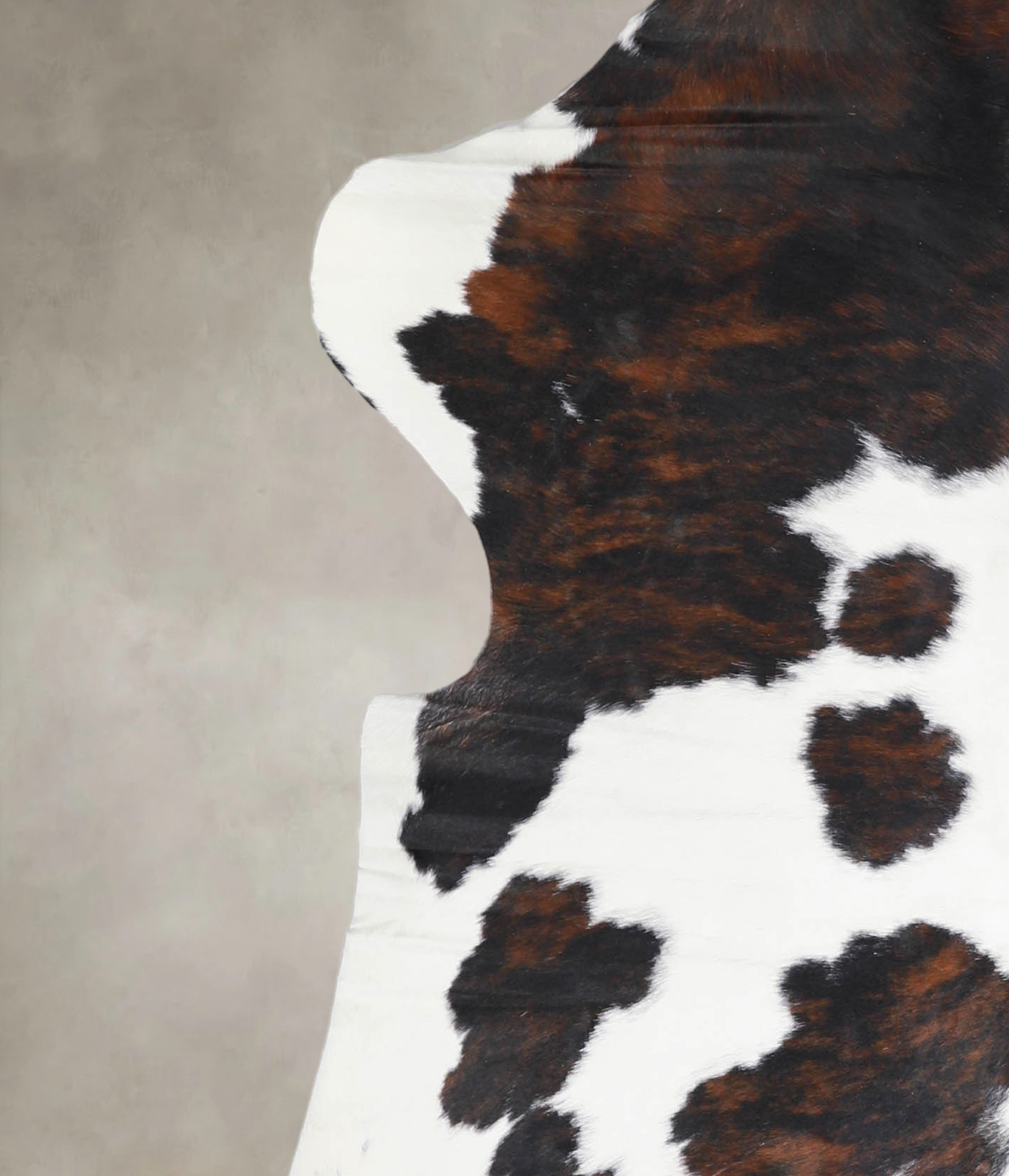 Tricolor Cowhide Rug #A26792