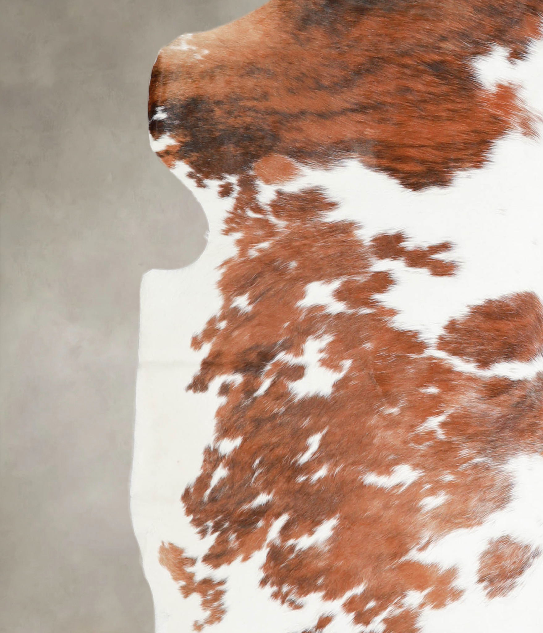 Tricolor Cowhide Rug #A26839