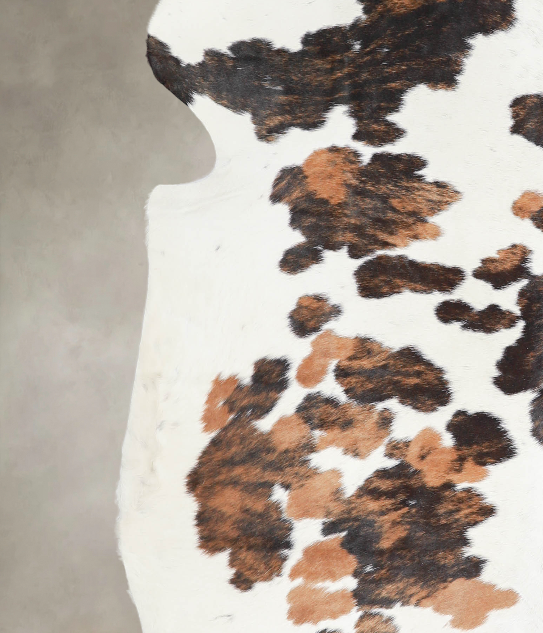 Tricolor Cowhide Rug #A26871