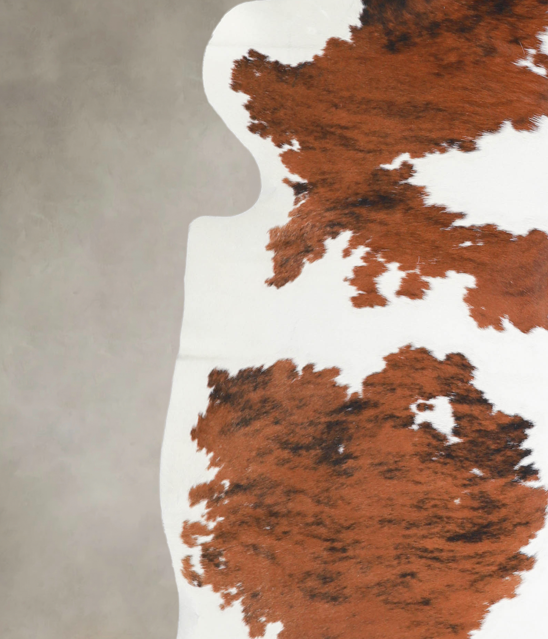 Tricolor Cowhide Rug #A26879