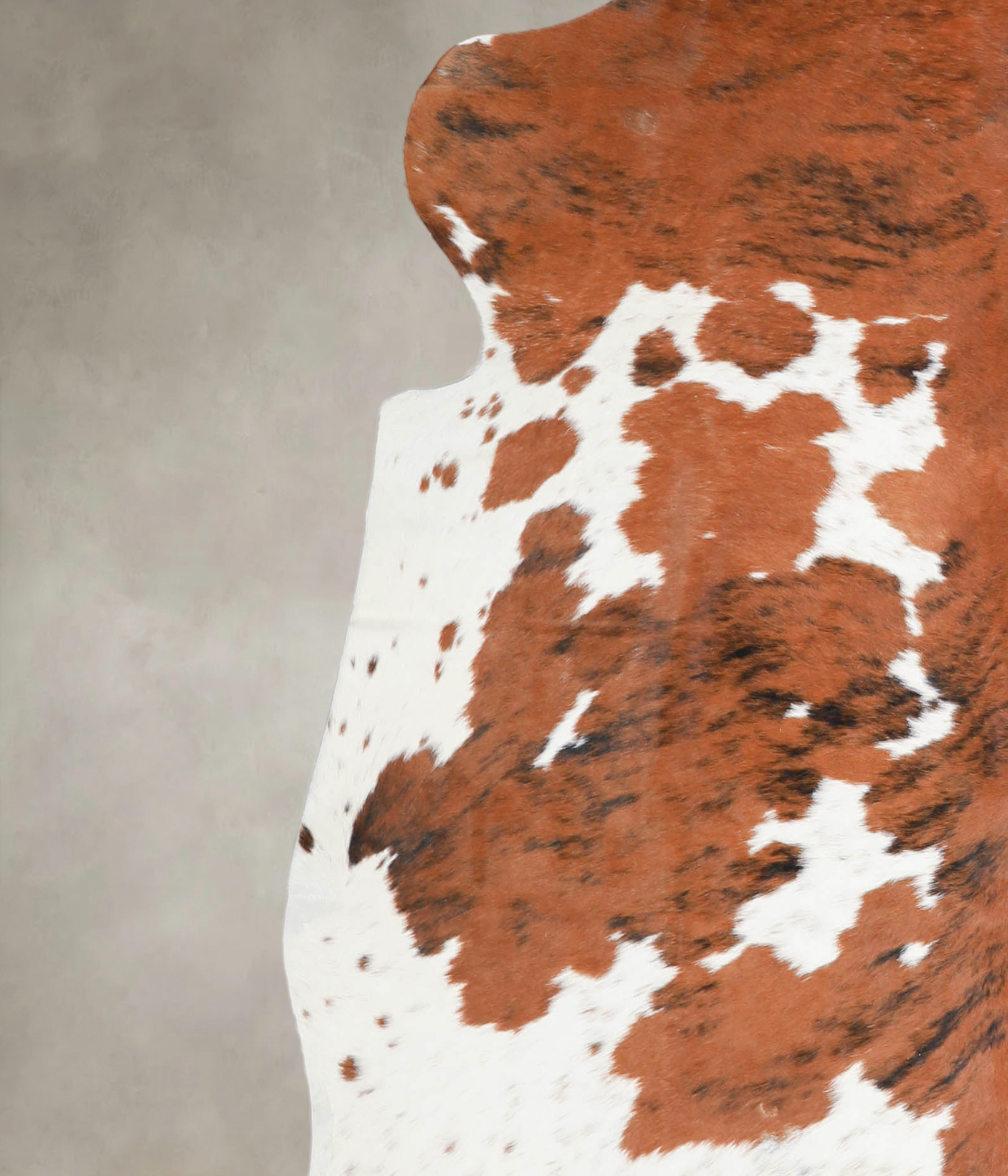 Tricolor Cowhide Rug #A26902