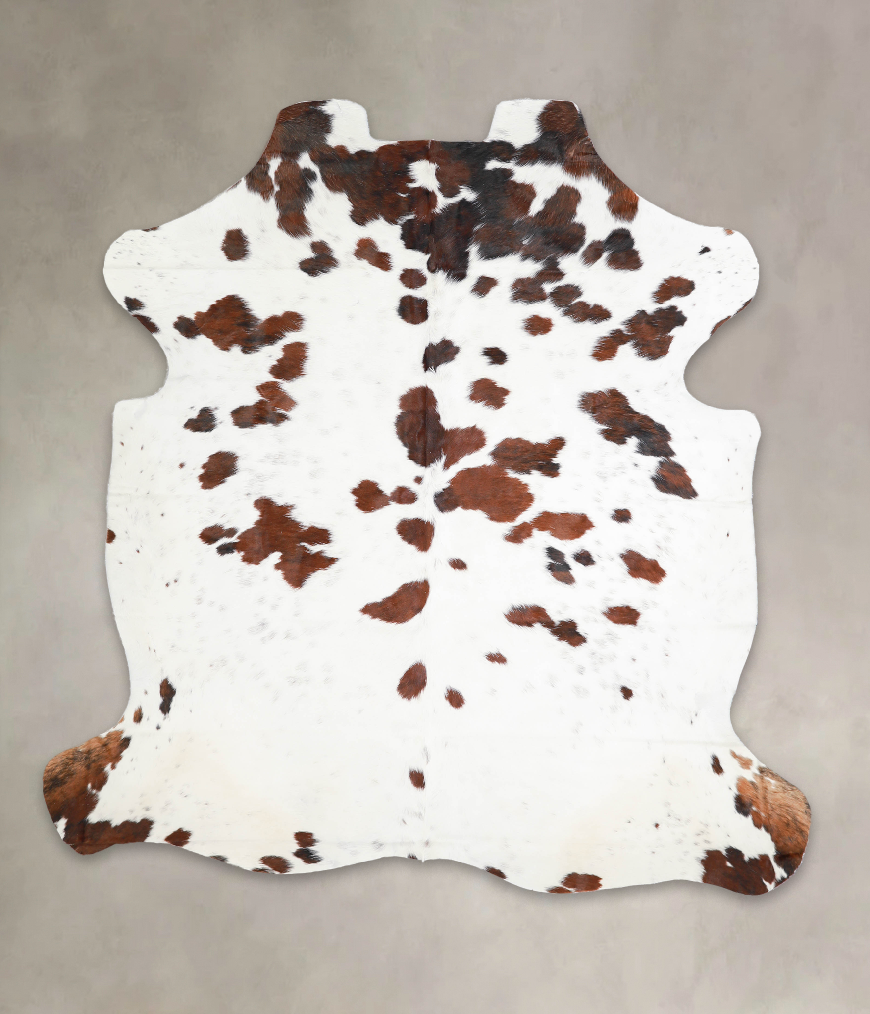 Tricolor Cowhide Rug #A26928