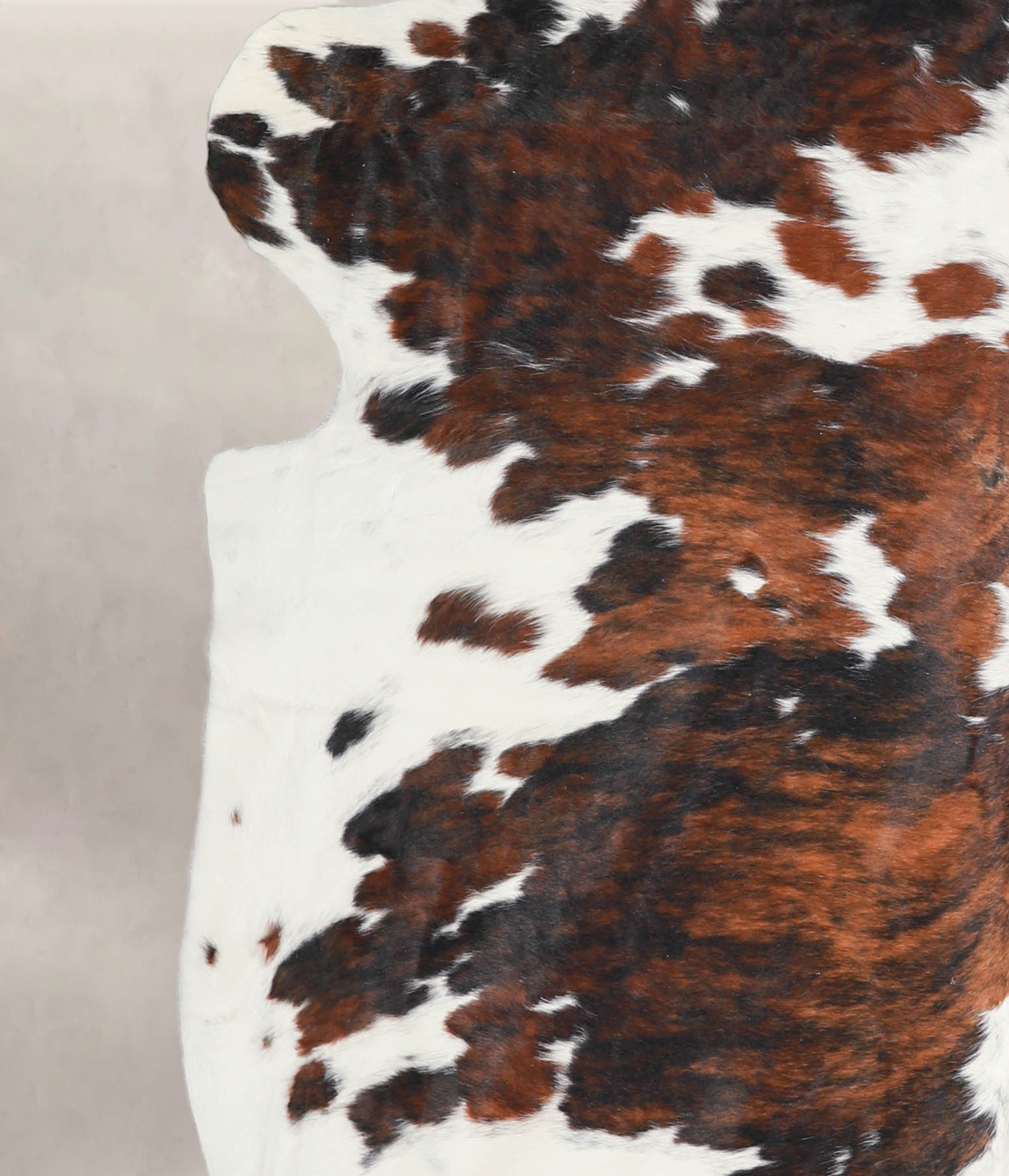 Tricolor Cowhide Rug #A26954