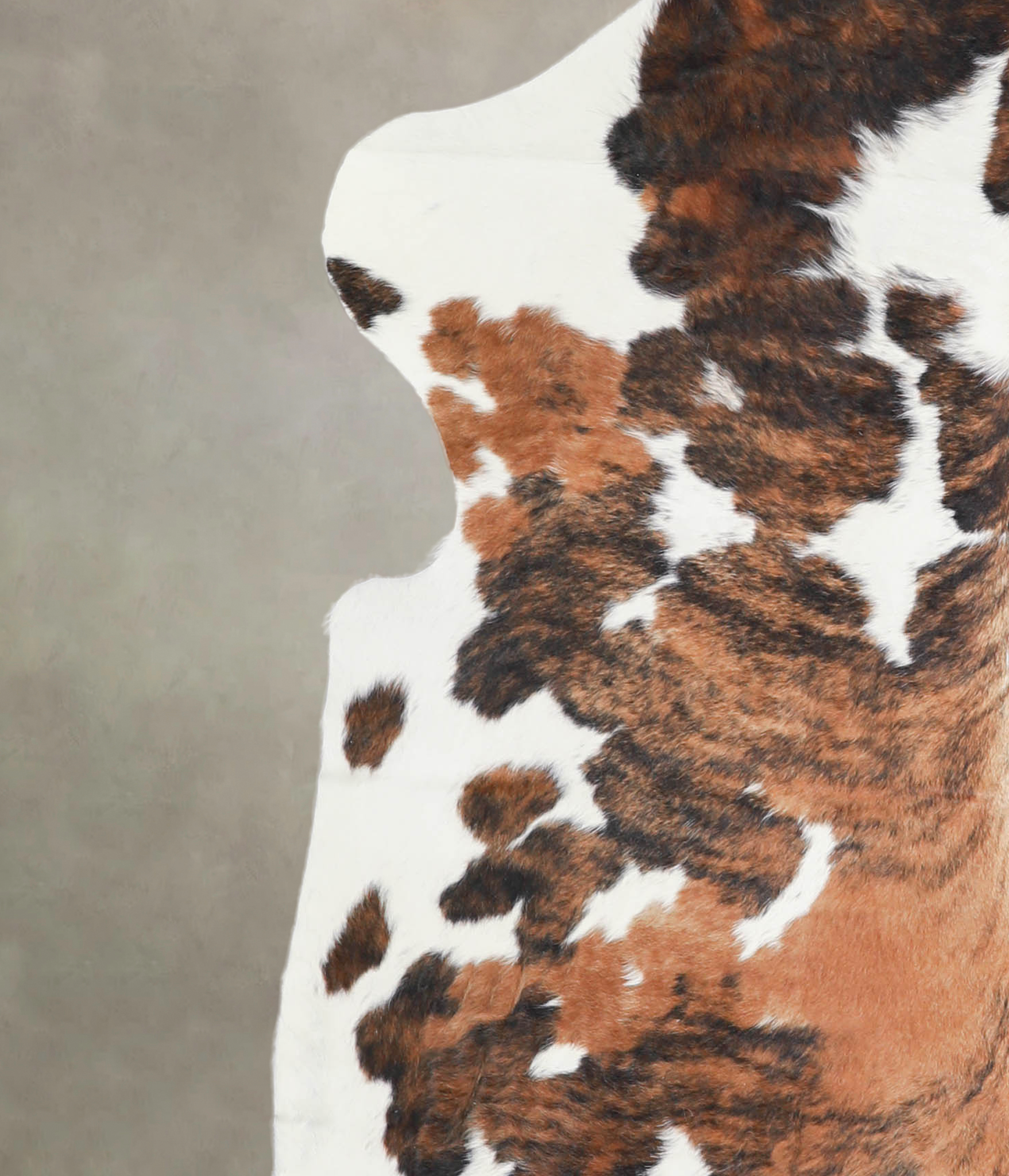 Tricolor Cowhide Rug #A27046