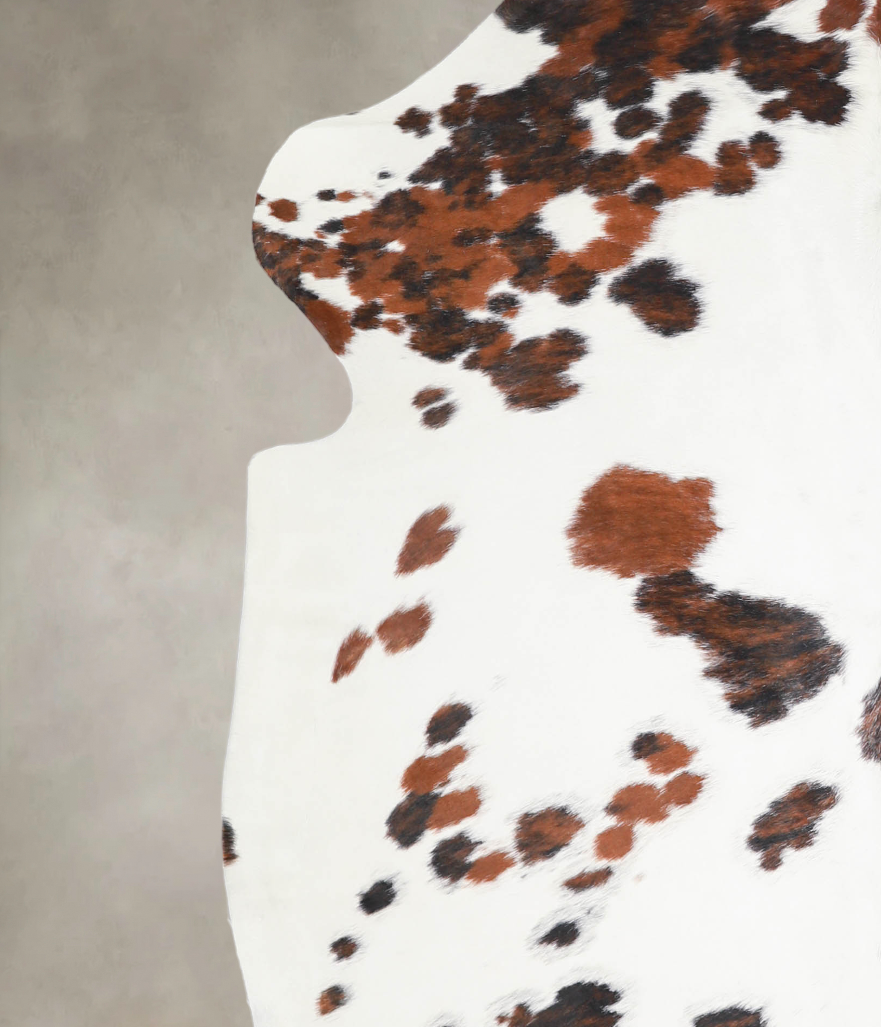 Tricolor Cowhide Rug #A27145