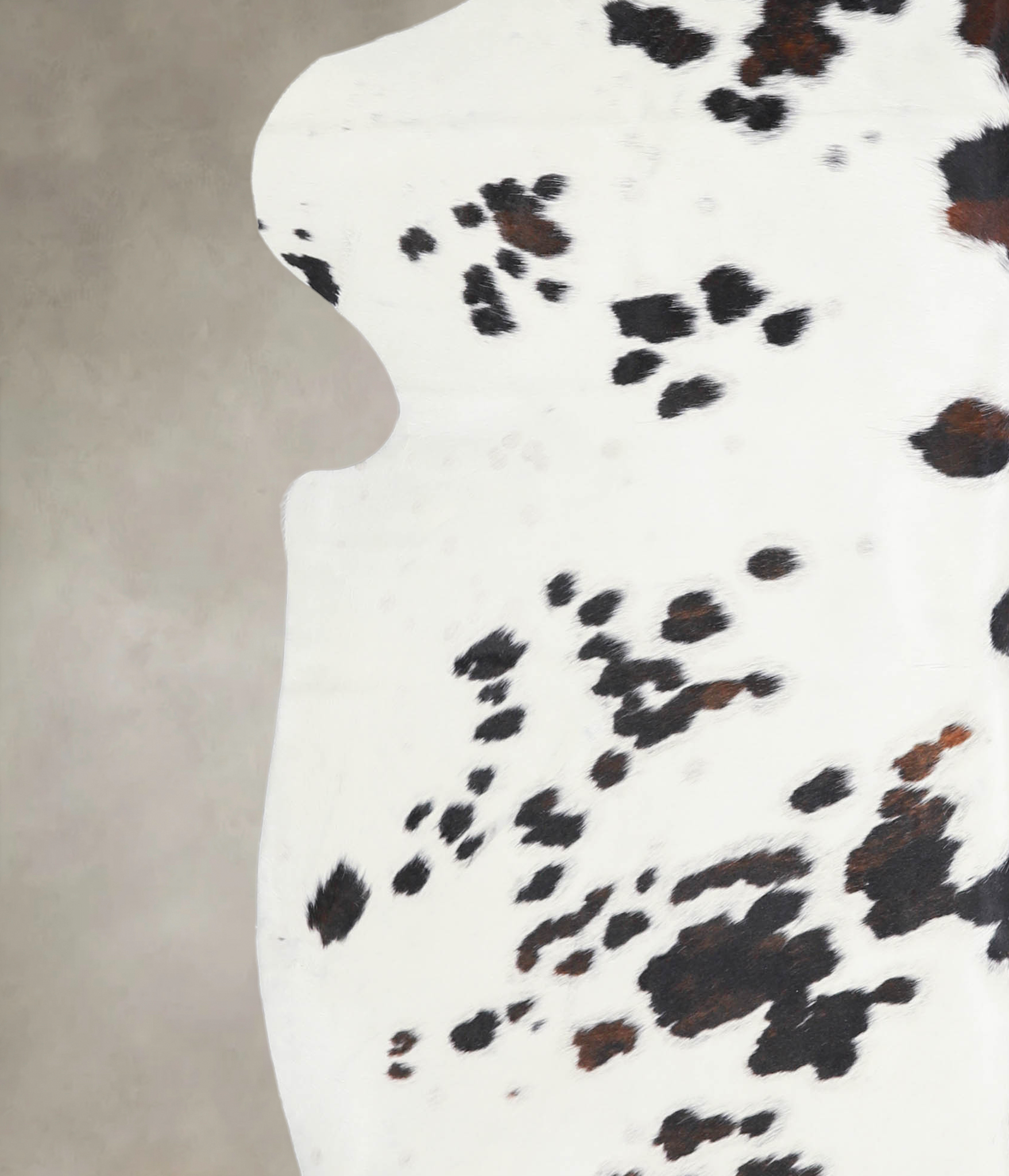 Tricolor Cowhide Rug #A27148