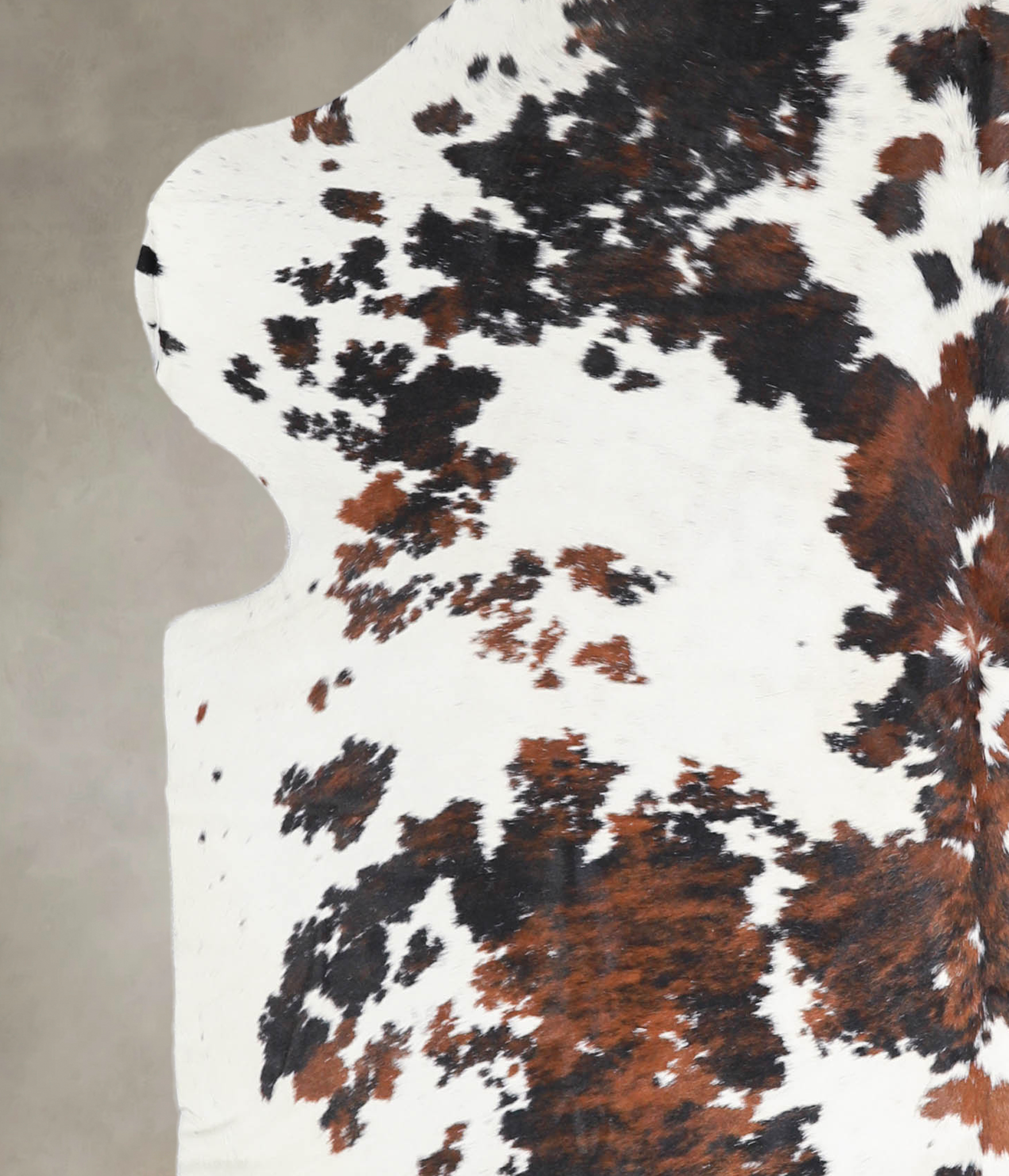 Tricolor Cowhide Rug #A27169