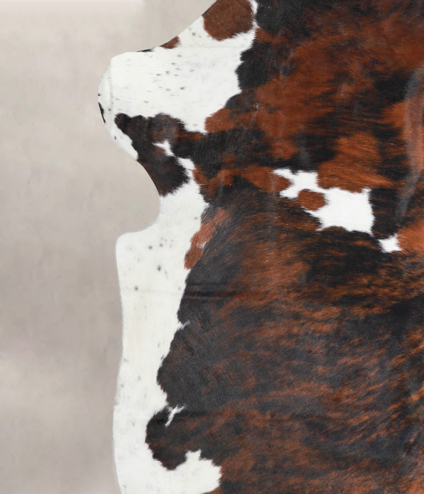 Tricolor Cowhide Rug #A27174